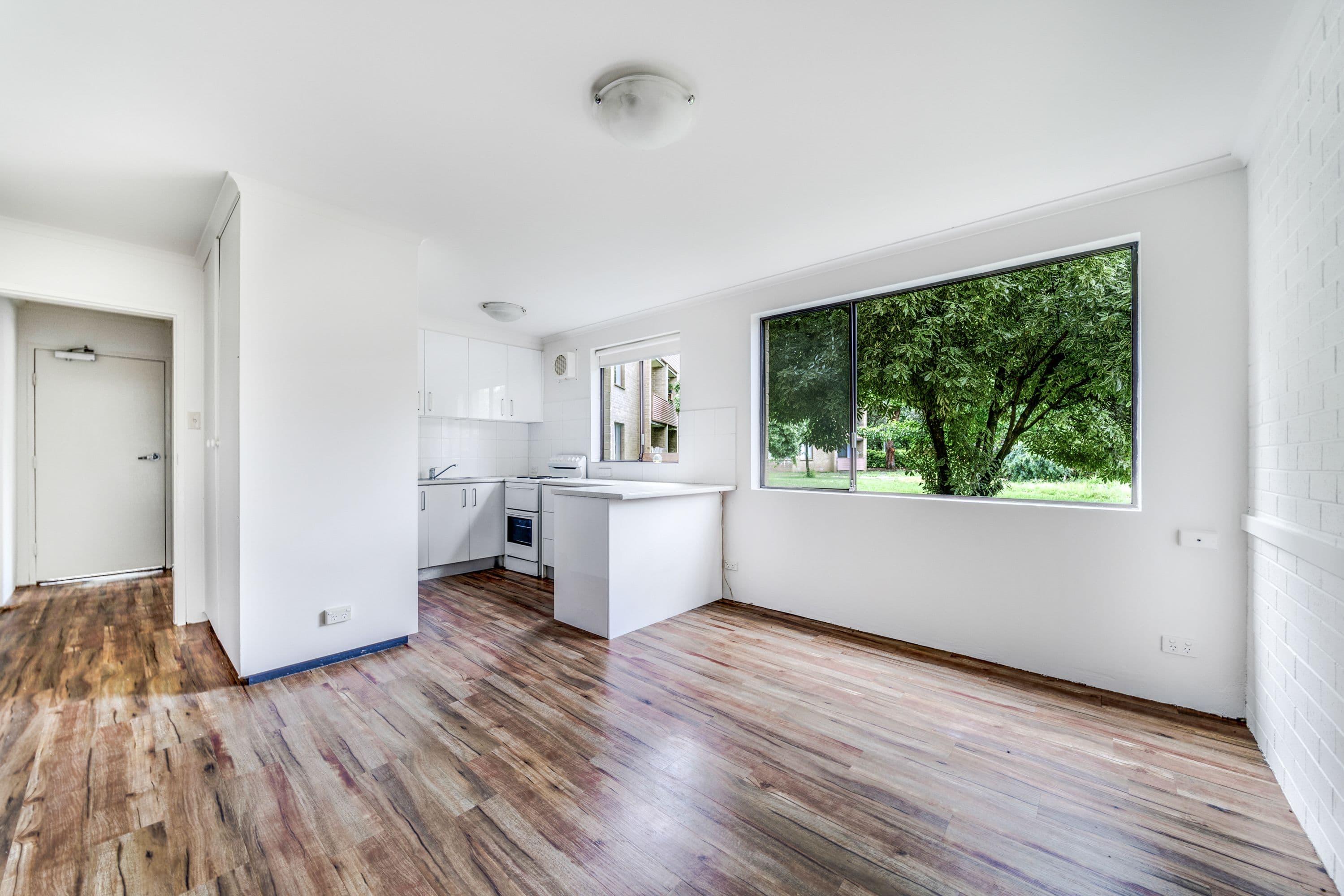 58 Wattle Street, Lyneham ACT 2602, Lyneham - Thumbnail 2
