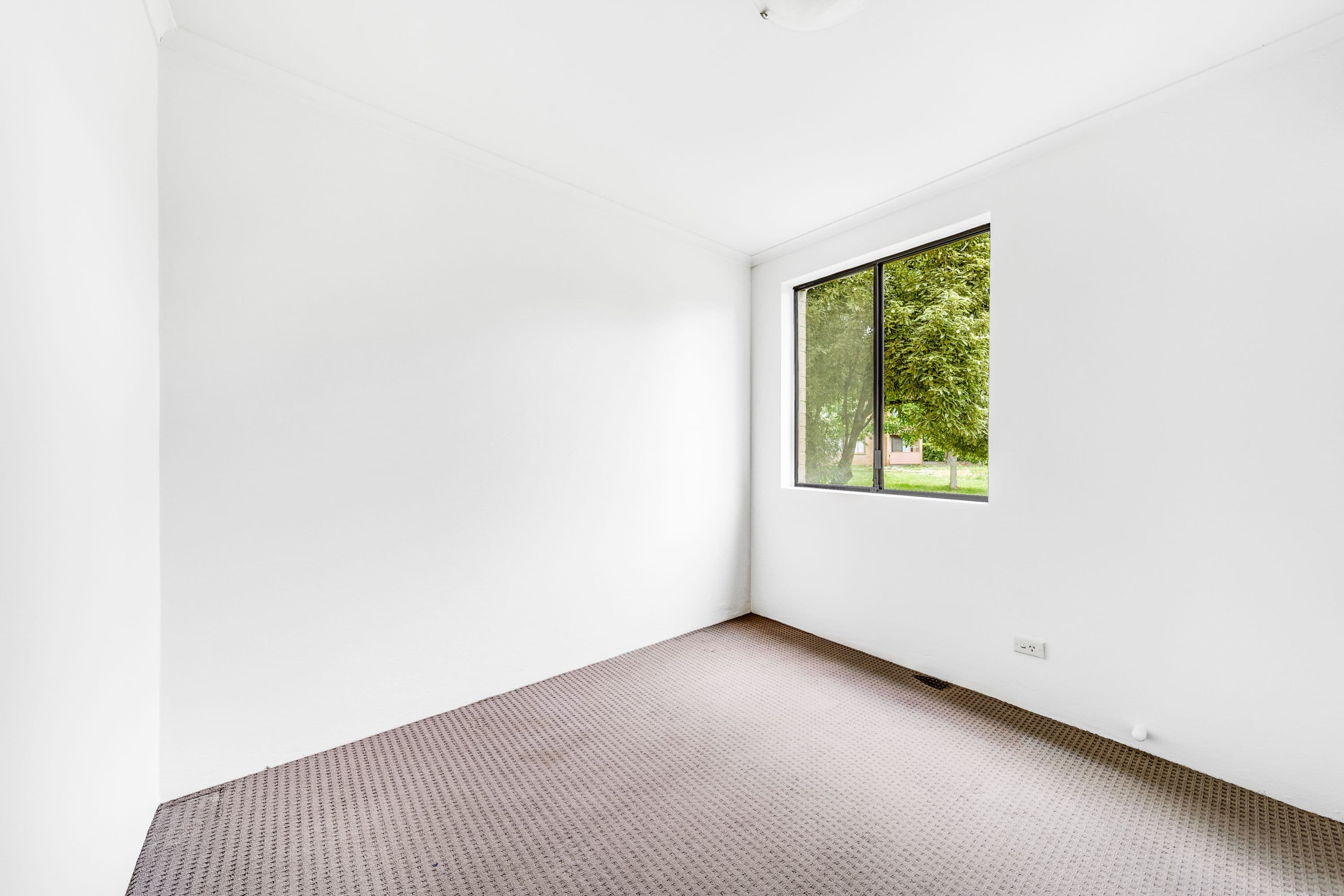 58 Wattle Street, Lyneham ACT 2602, Lyneham - Thumbnail 4
