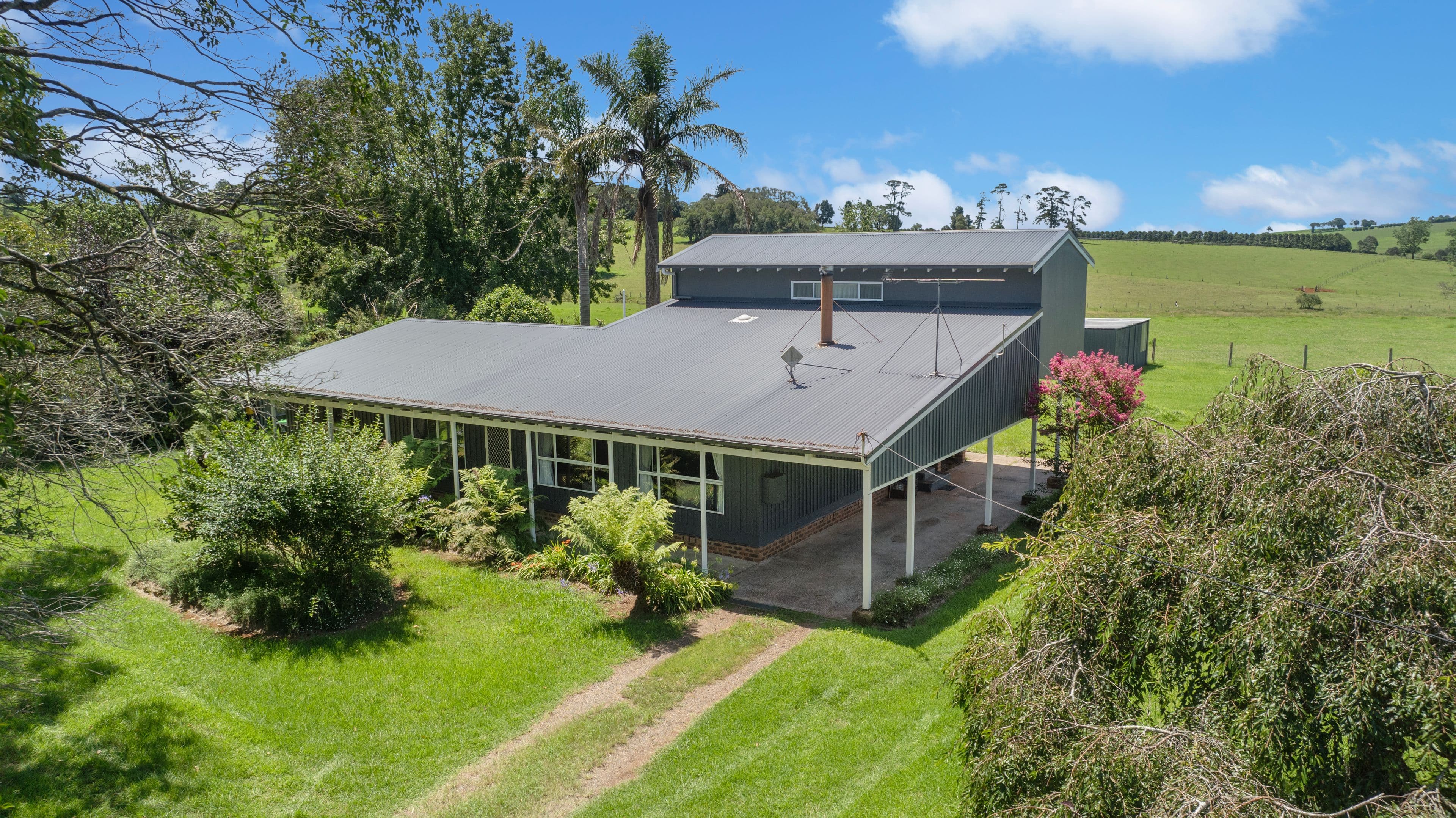 10 Hayden Street, North Dorrigo, Dorrigo NSW 2453, North Dorrigo - Image 1