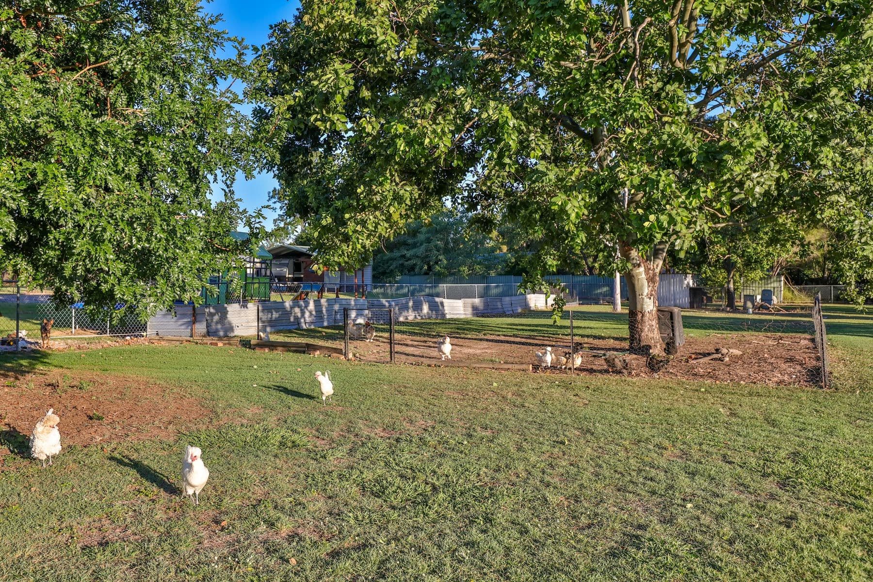 50-52 Thora Road, CEDAR GROVE QLD 4285, Cedar Grove - Thumbnail 2