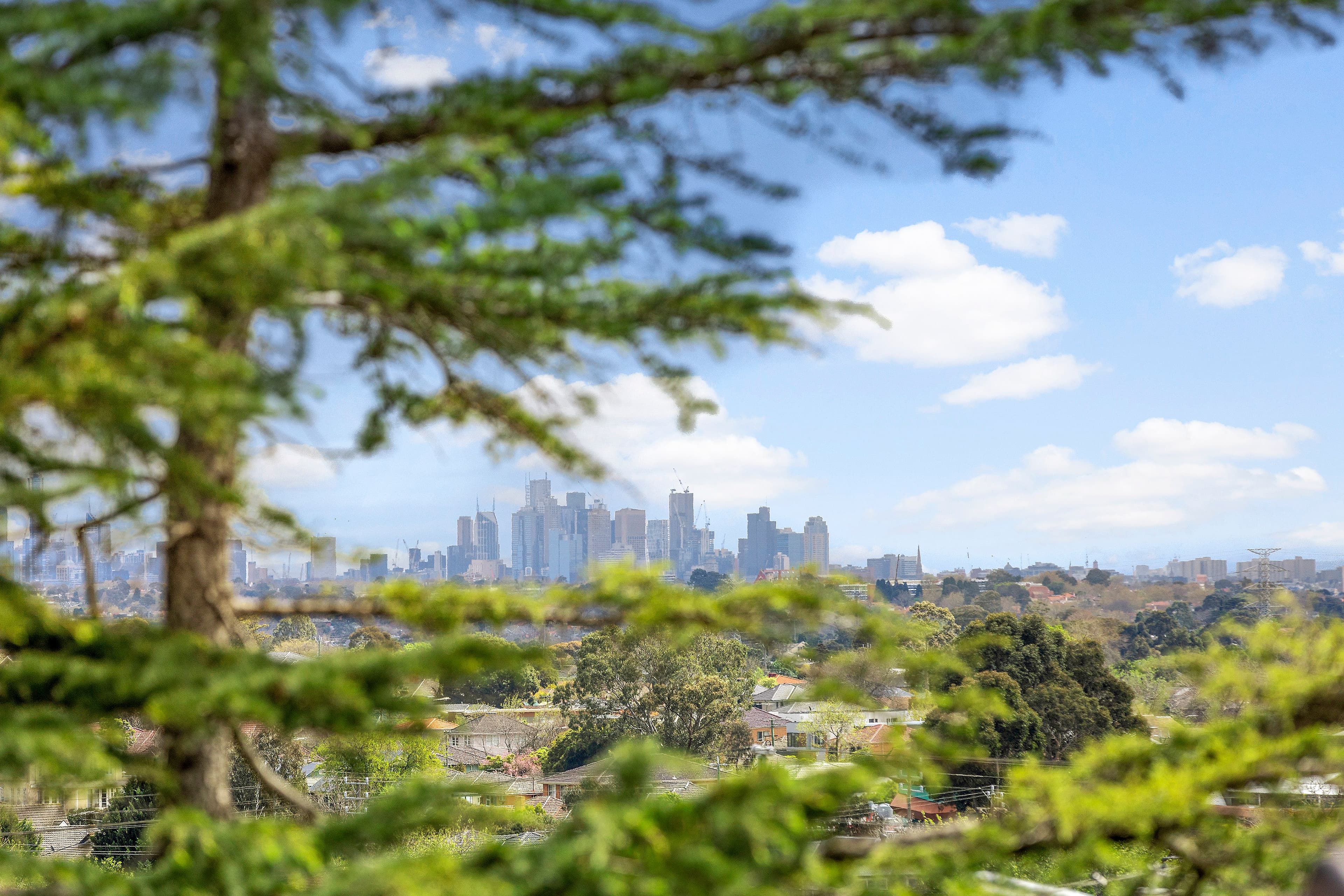 20 Stapley Crescent, Chadstone VIC 3148, Chadstone - Thumbnail 3
