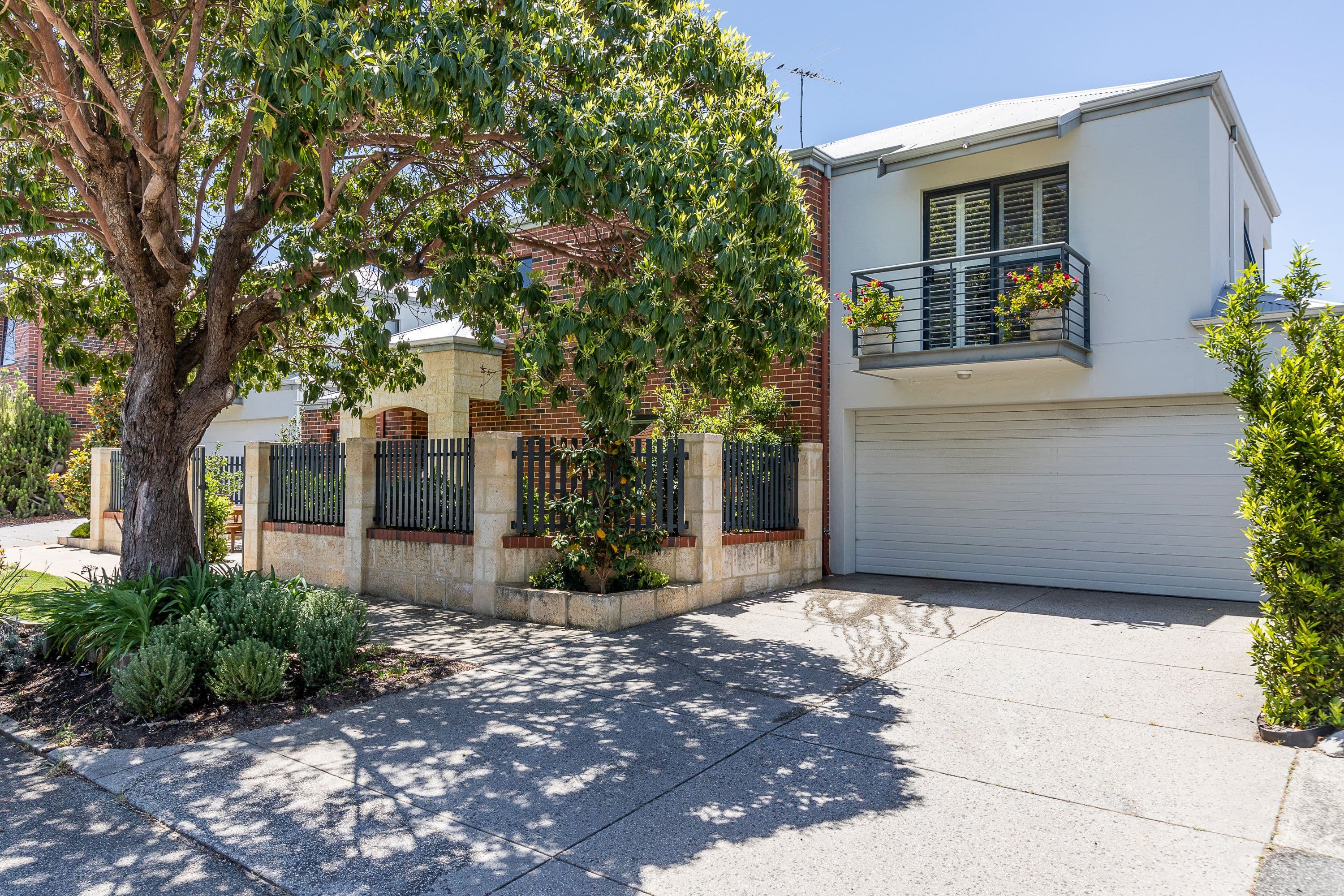 10 Persimmon Street, North Perth WA 6006, North Perth - Thumbnail 2