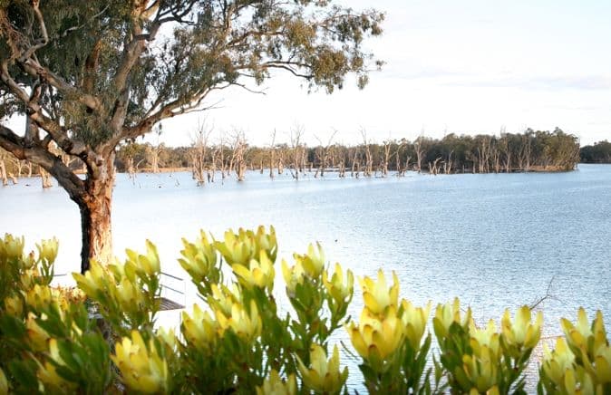 16 Riverview Rise, GOL GOL NSW 2738, Gol Gol - Thumbnail 3