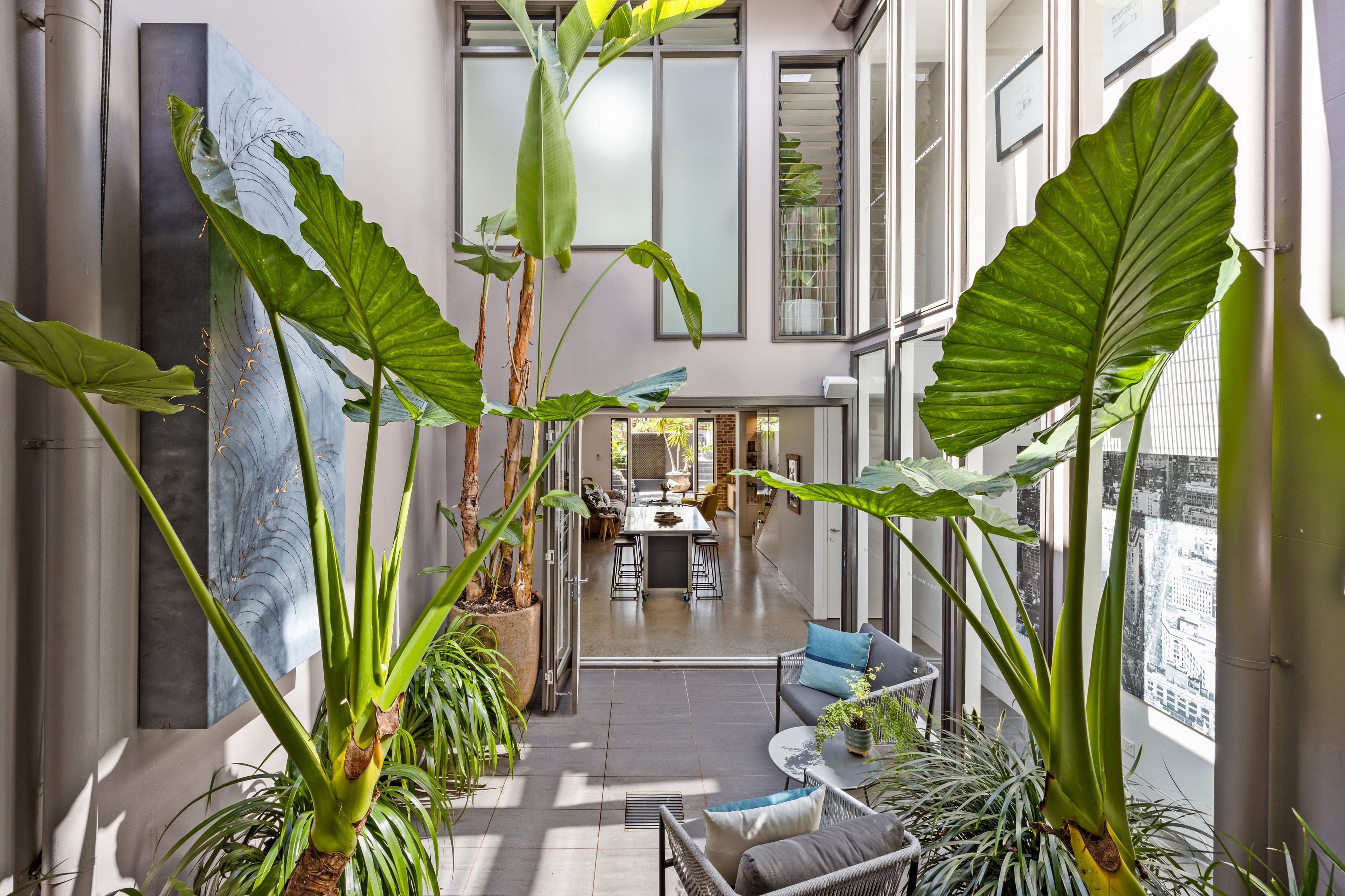 67 Wilson Street, Newtown NSW 2042, Newtown - Thumbnail 2