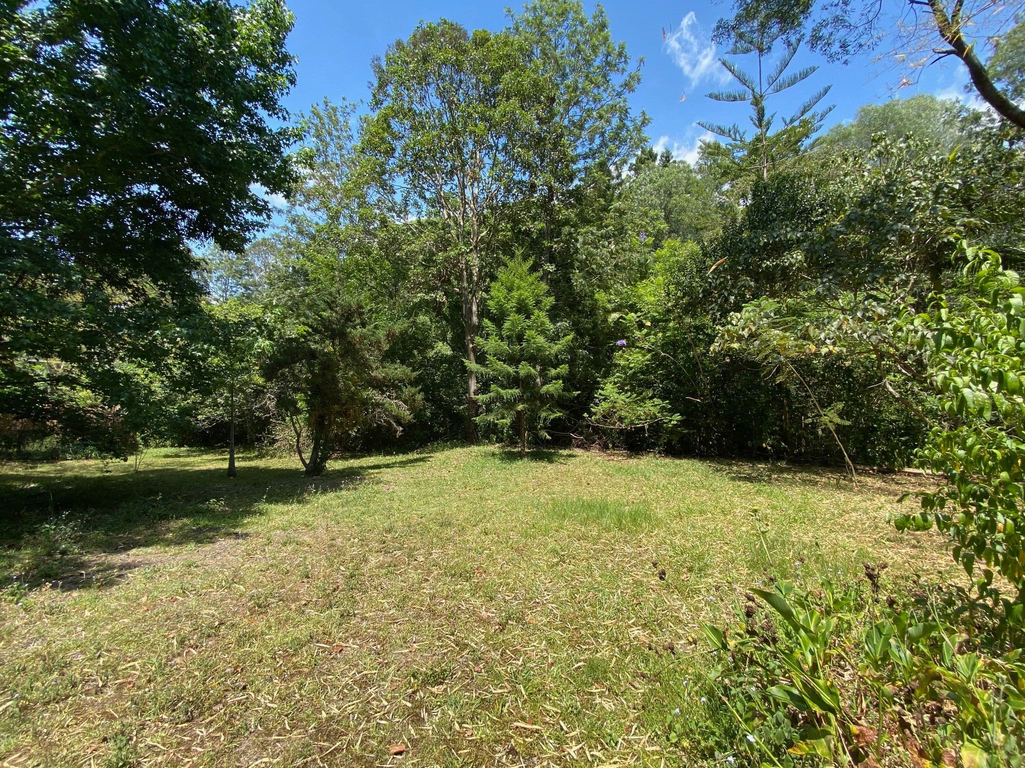 15 Joanne Court, Currumbin Valley QLD 4223, Currumbin Valley - Thumbnail 3