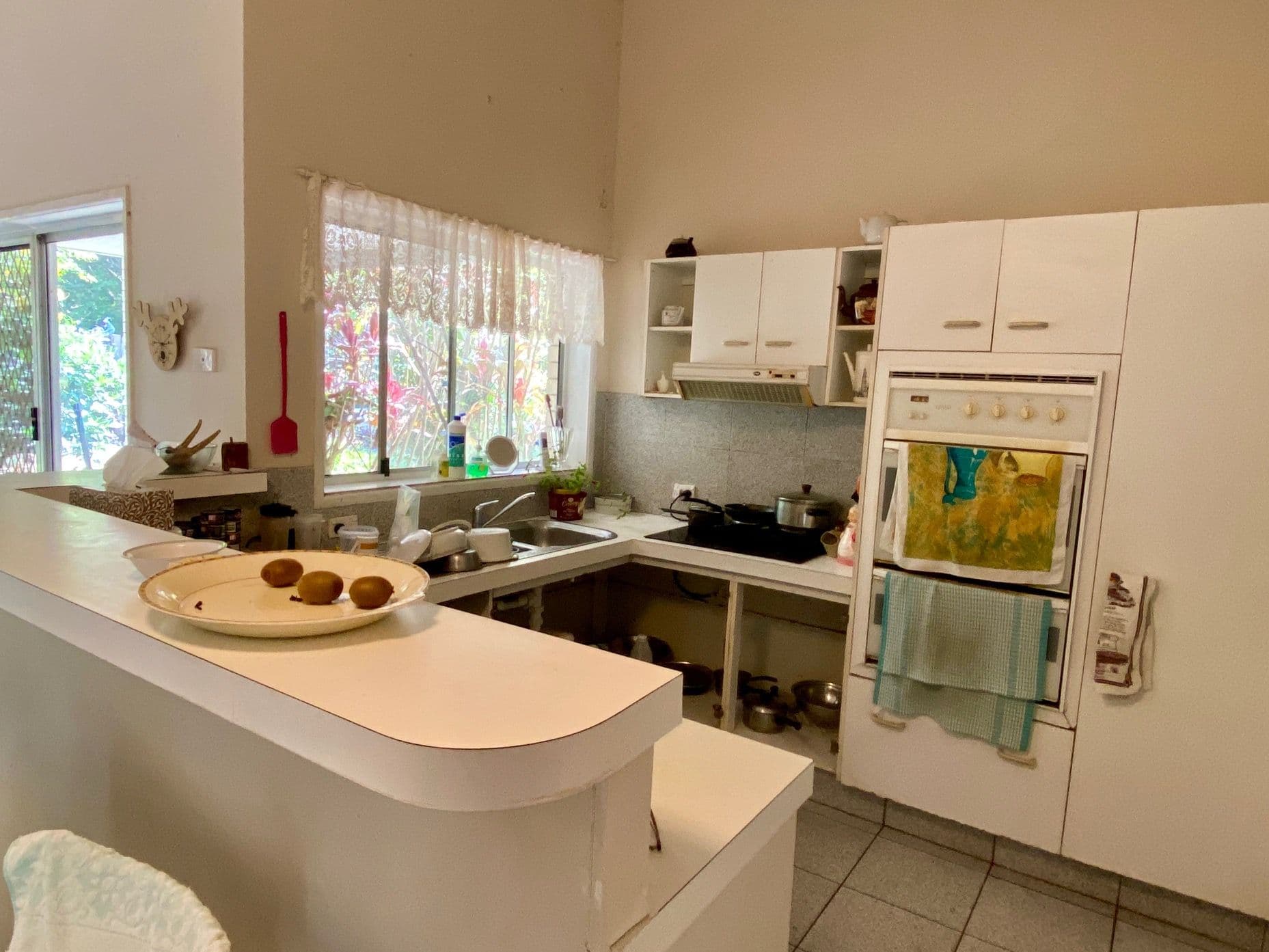15 Joanne Court, Currumbin Valley QLD 4223, Currumbin Valley - Thumbnail 4