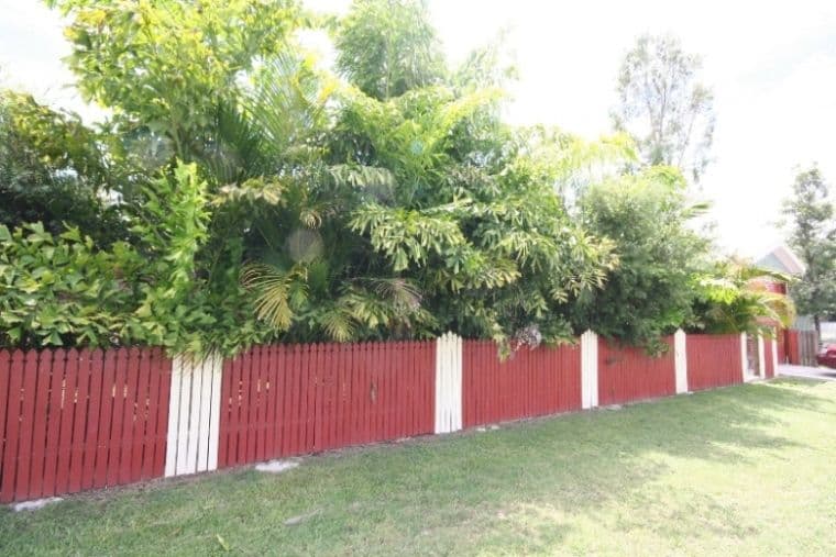 98  Kariboe Street, BILOELA QLD 4715, Biloela - Thumbnail 3