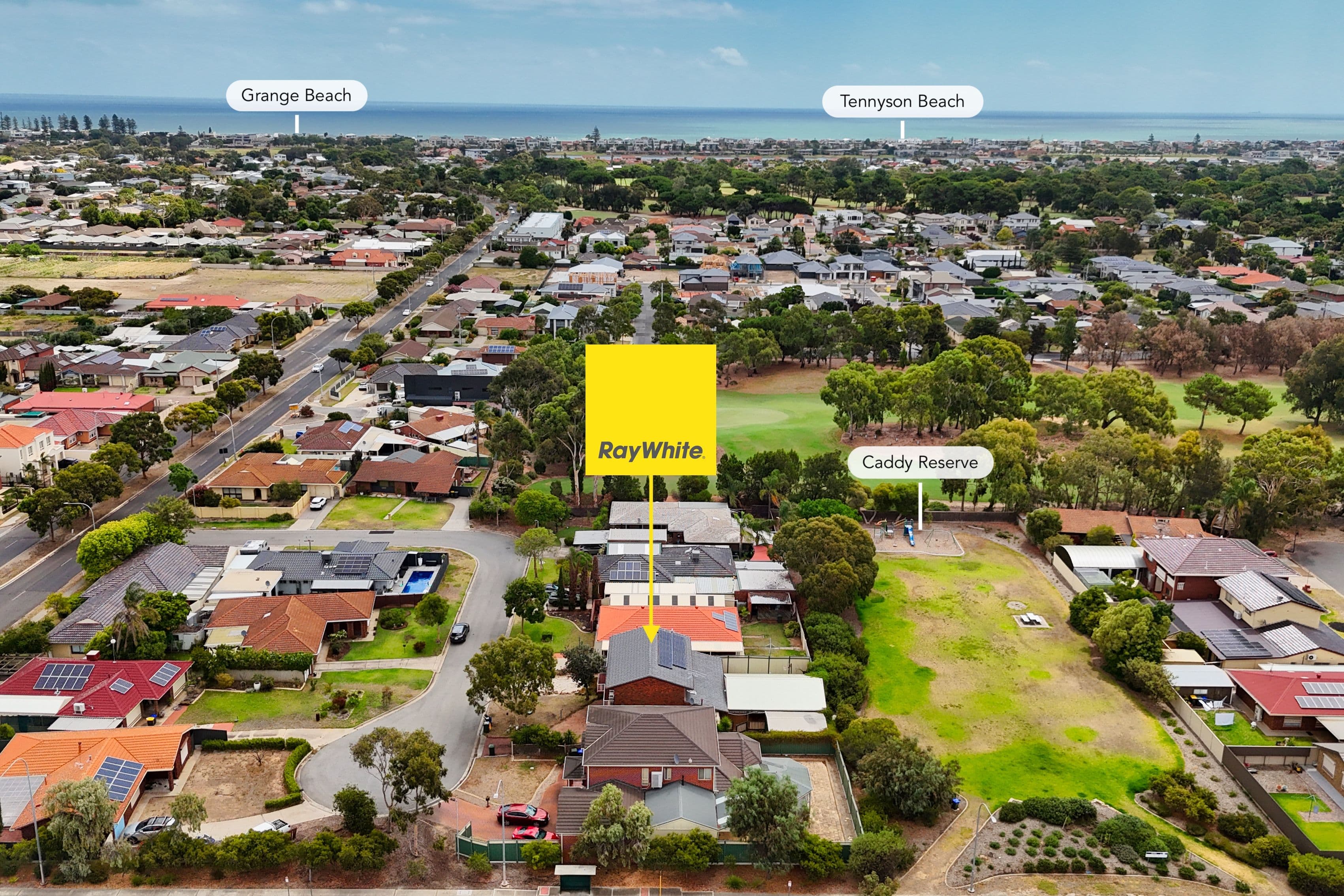 11 Niblic Court, Grange SA 5022, Grange - Thumbnail 3