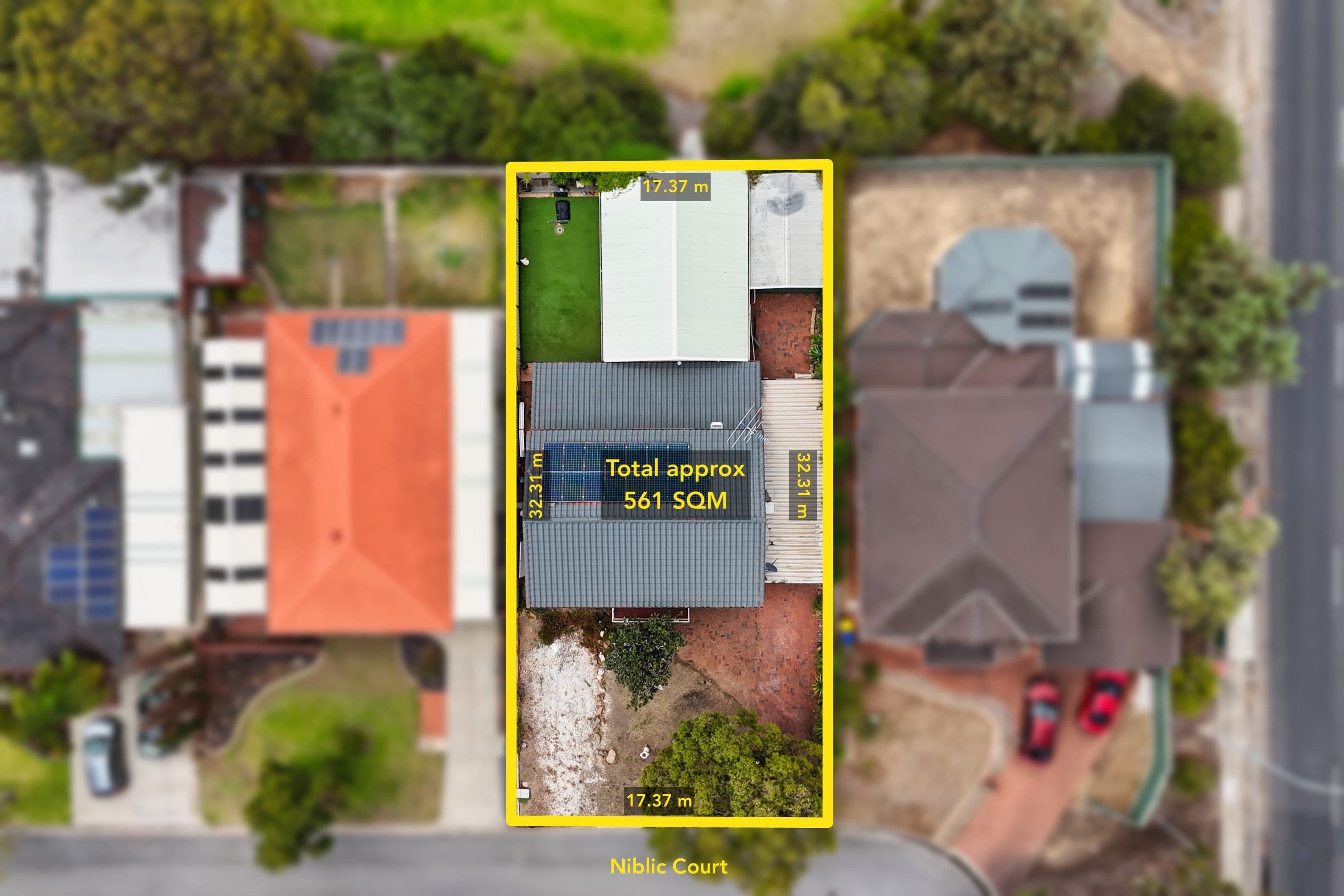 11 Niblic Court, Grange SA 5022, Grange - Thumbnail 4