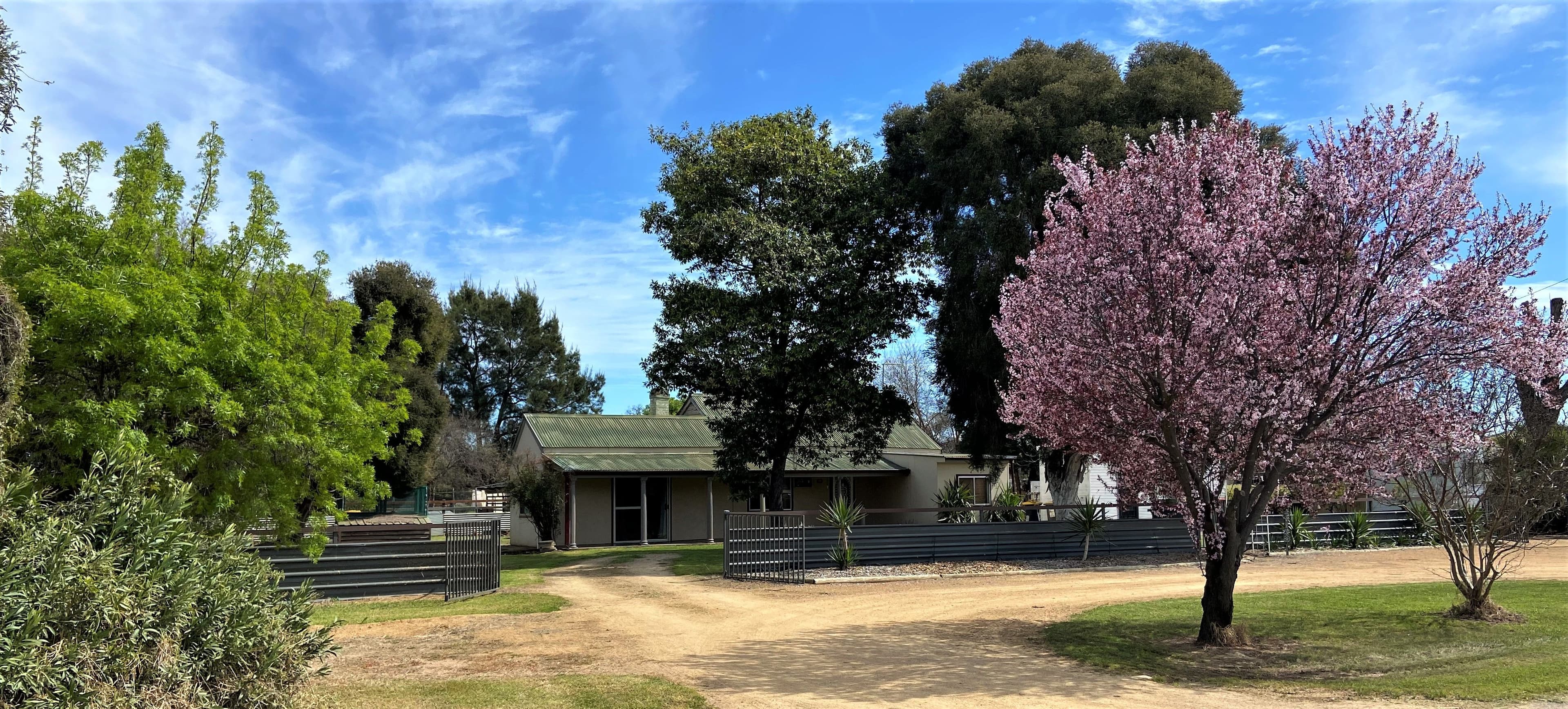 91 Church Street, Forbes NSW 2871, Forbes - Image 1