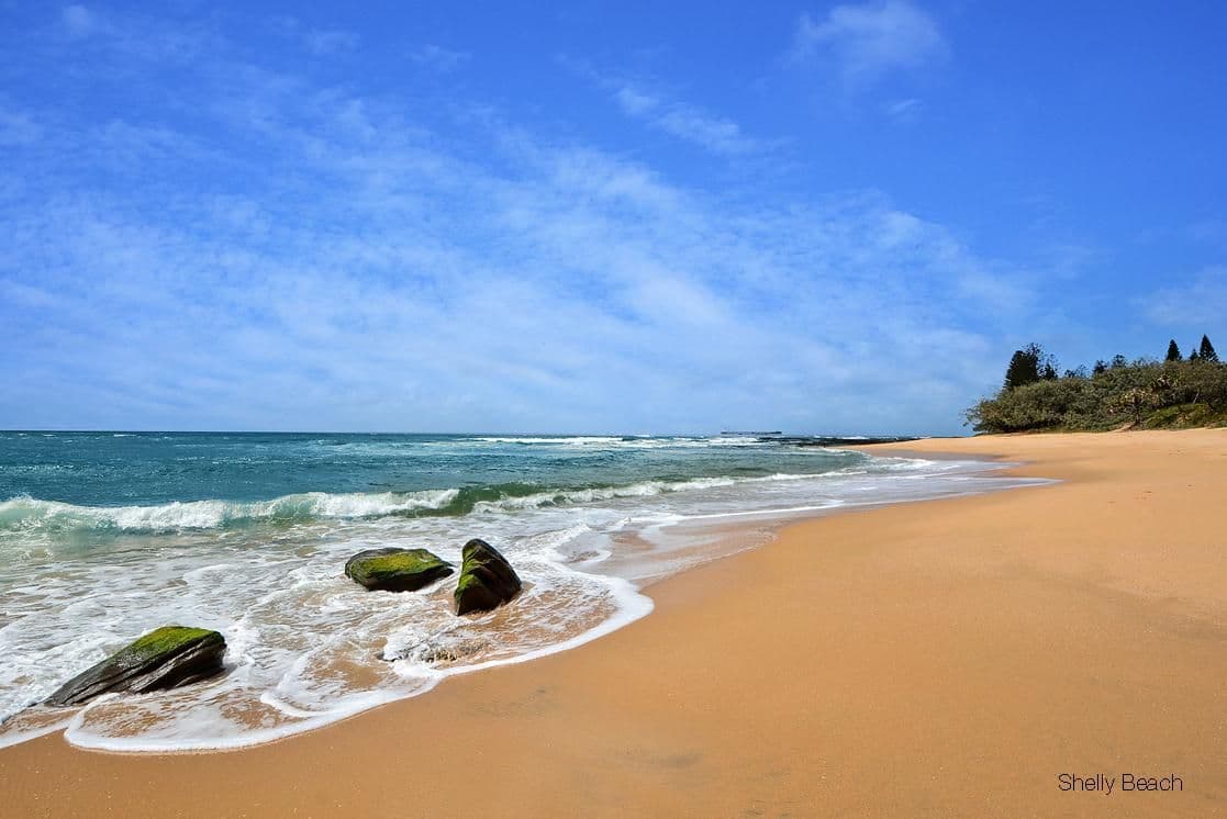13 Albert Street, Shelly Beach QLD 4551, Shelly Beach - Thumbnail 6