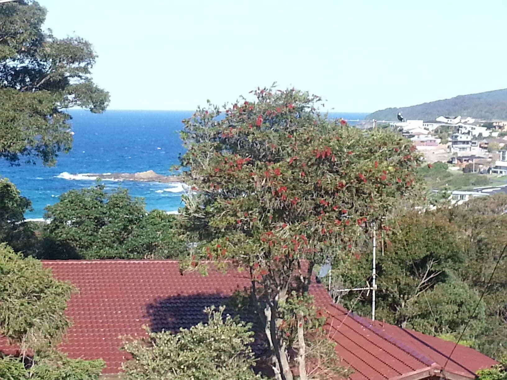 39 Becker Road, Forster NSW 2428, Forster - Image 1