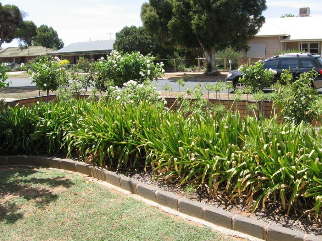 42 Queen Street, Rochester VIC 3561, Rochester - Thumbnail 4