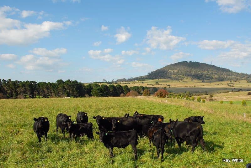 25 Hoggs Lane, BRAIDWOOD NSW 2622, Braidwood - Image 1