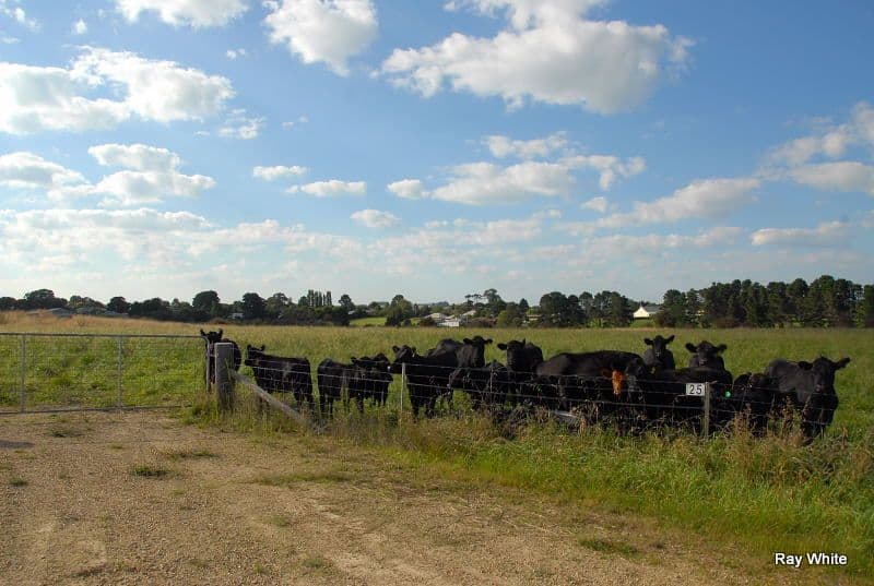 25 Hoggs Lane, BRAIDWOOD NSW 2622, Braidwood - Thumbnail 2