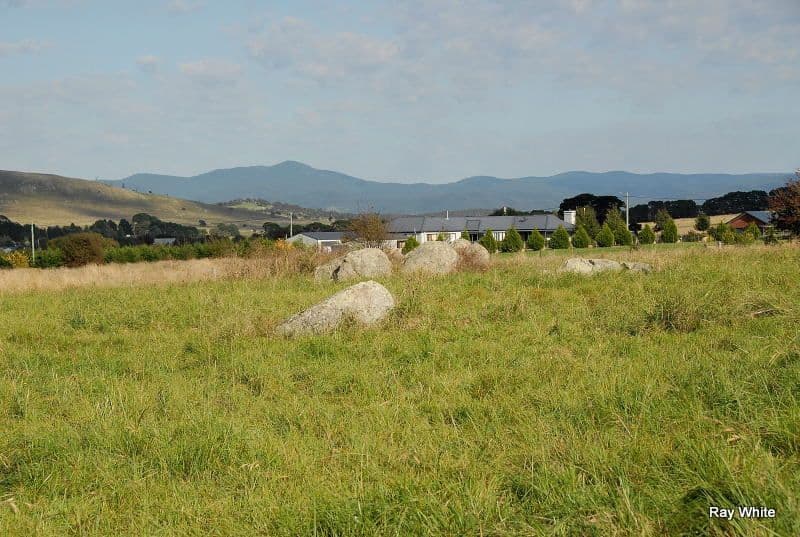 25 Hoggs Lane, BRAIDWOOD NSW 2622, Braidwood - Thumbnail 4