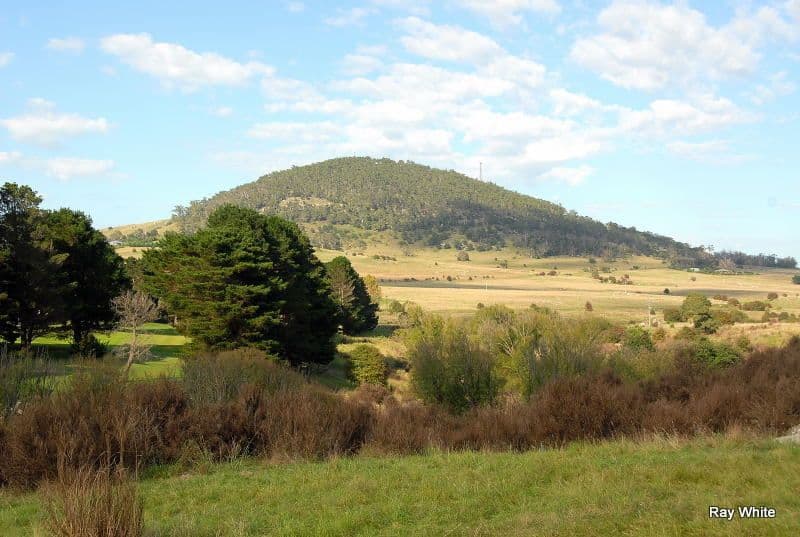 25 Hoggs Lane, BRAIDWOOD NSW 2622, Braidwood - Thumbnail 5