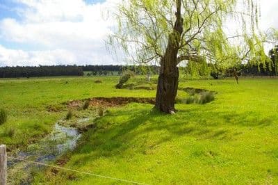 9 Stephen Street, Guildford, WA, 6055, Guildford - Image 1