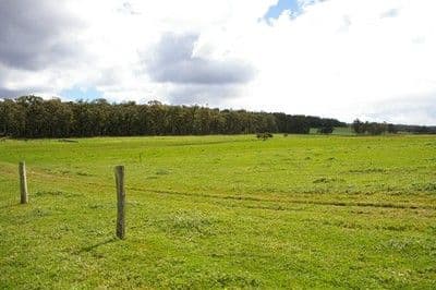 9 Stephen Street, Guildford, WA, 6055, Guildford - Thumbnail 4
