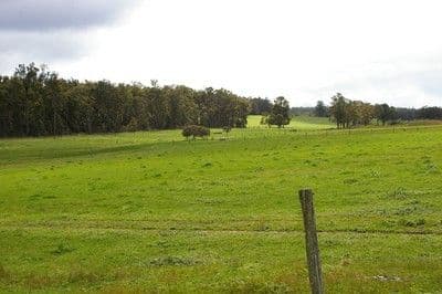 9 Stephen Street, Guildford, WA, 6055, Guildford - Thumbnail 5