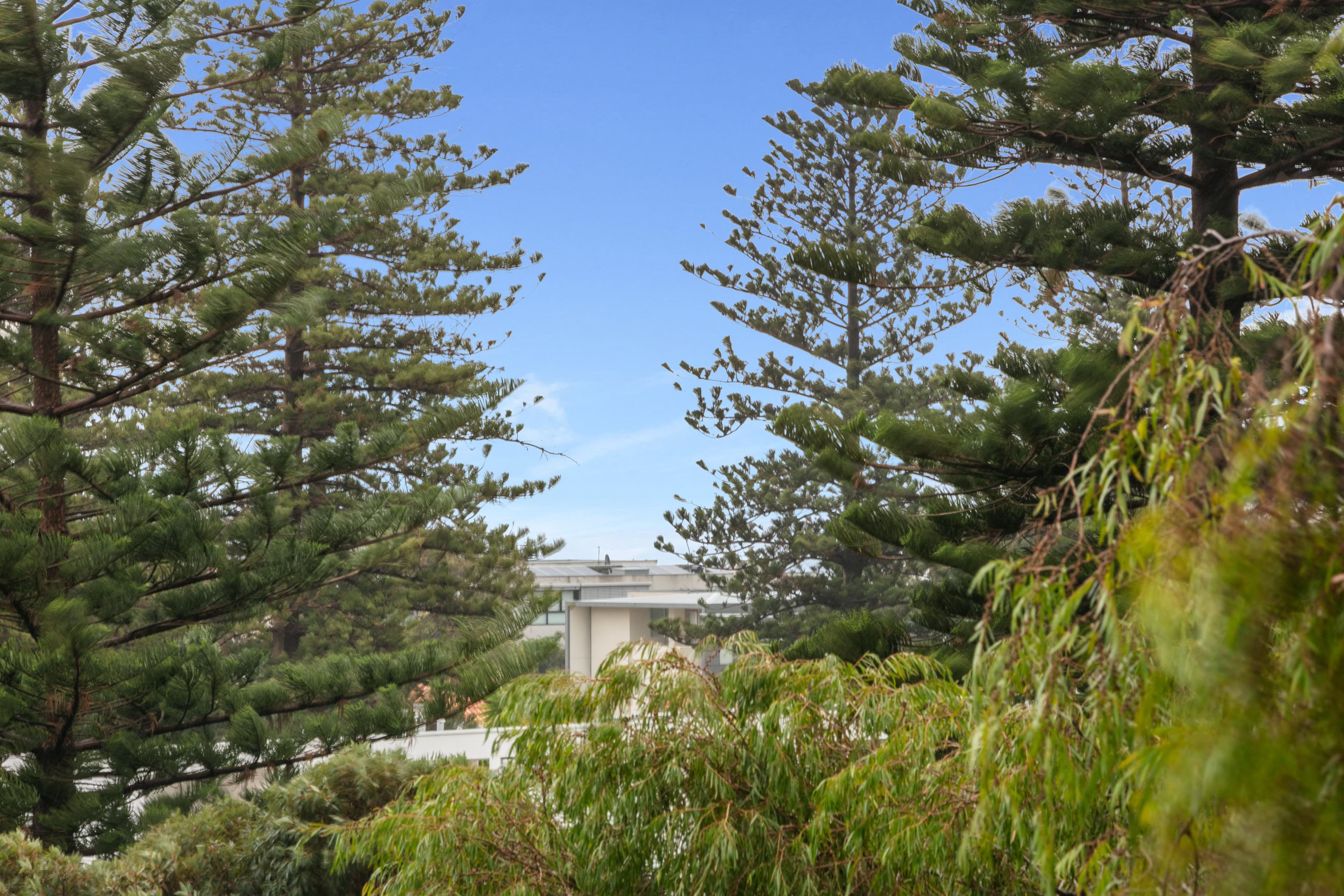 4 Chamberlain Street, Cottesloe WA 6011, Cottesloe - Thumbnail 4