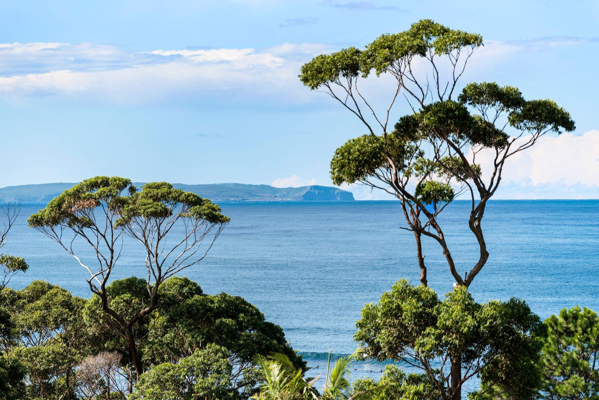 8 Buchan Street, Mollymook NSW 2539, Mollymook - Thumbnail 3
