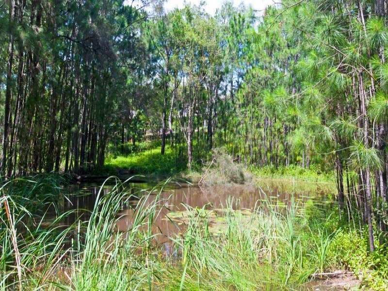 105-107 Glade Drive, GAVEN QLD 4211, Gaven - Thumbnail 6