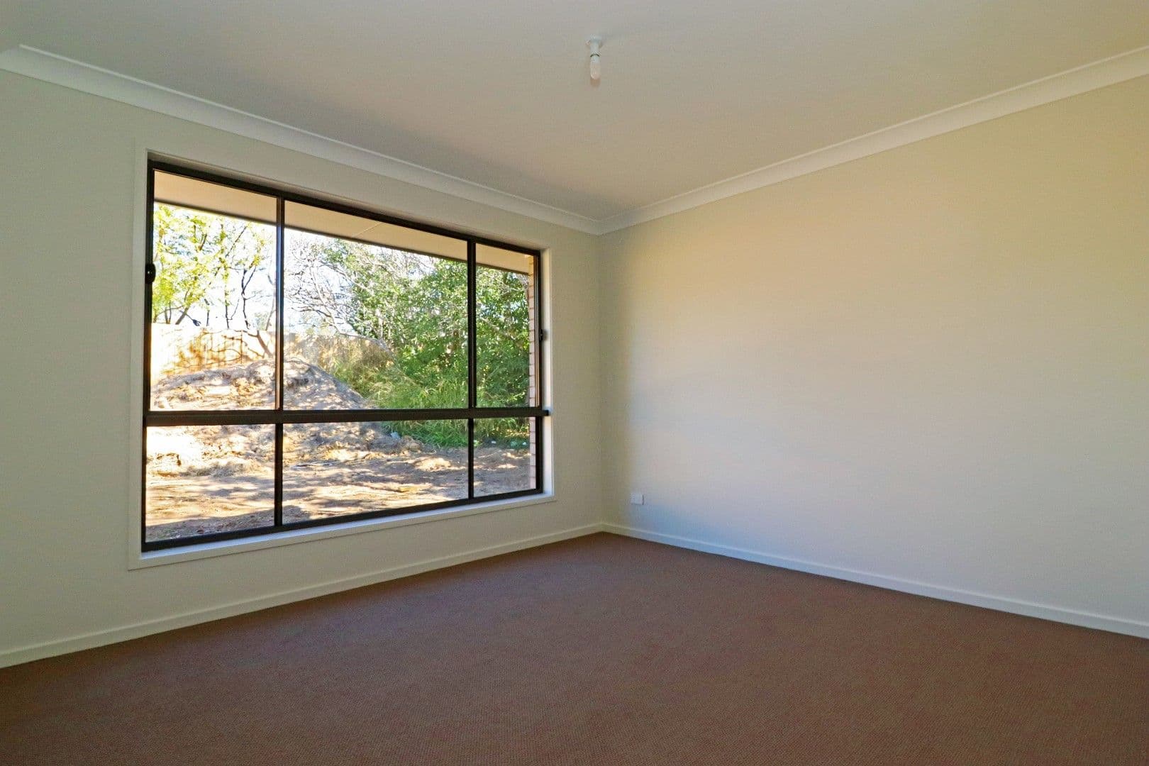 14 Moncrieffe Street, Warwick QLD 4370, Warwick - Thumbnail 4