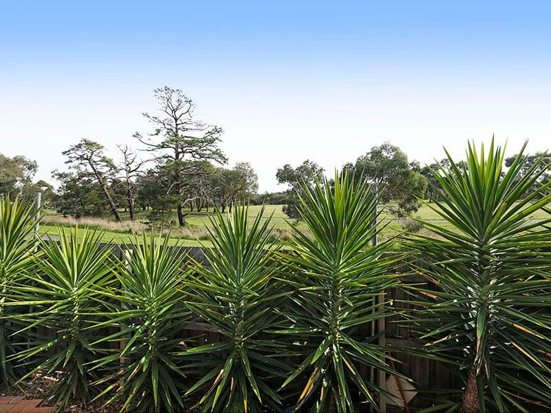 107 Torquay Road, GROVEDALE VIC 3216, Grovedale - Thumbnail 7