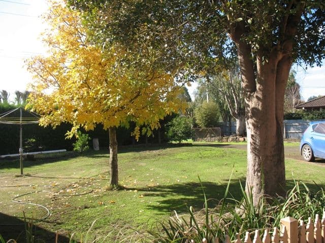 26 Thompson Street, TERANG VIC 3264, Terang - Thumbnail 5
