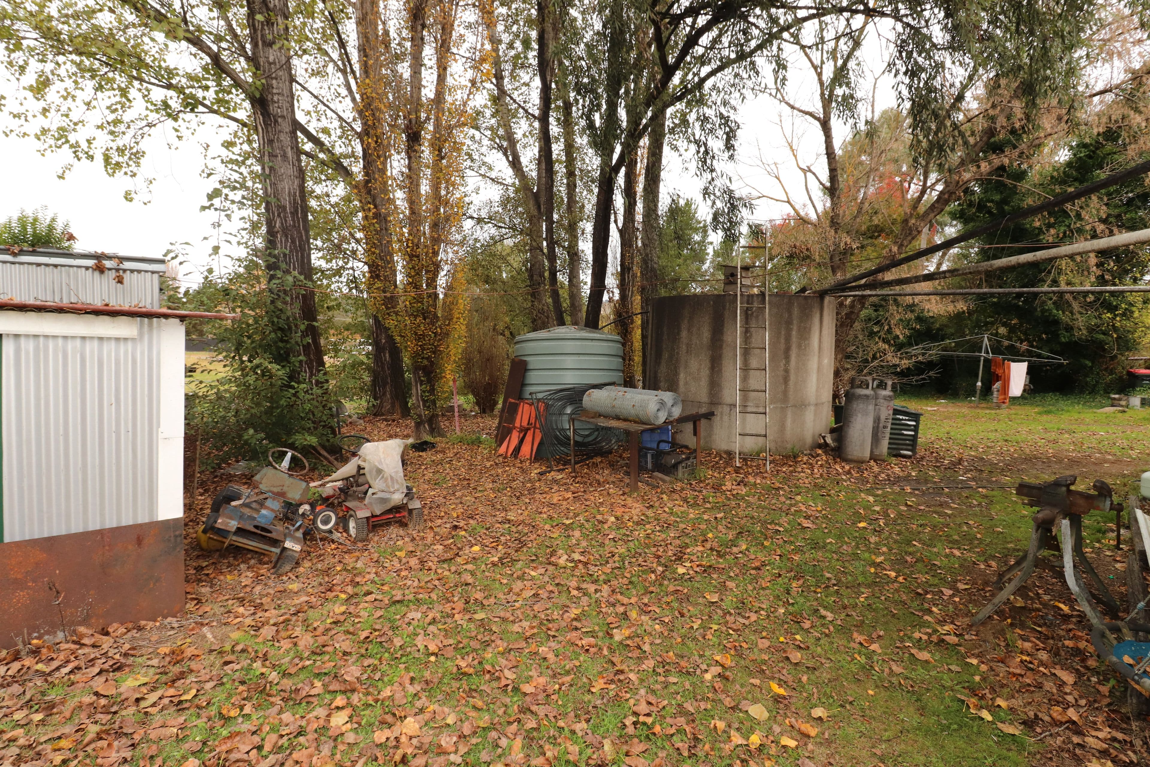 46 Finlay Street, Glencoe NSW 2365, Glencoe - Thumbnail 6