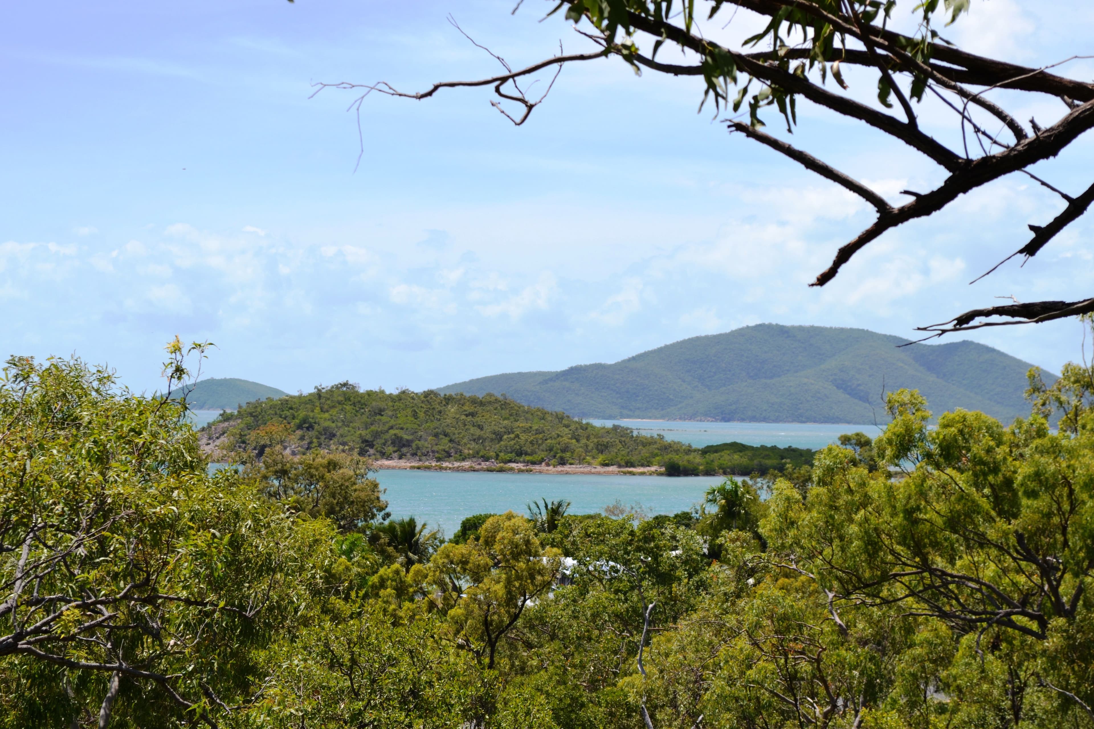 5 Armit Court, Hideaway Bay QLD 4800, Hideaway Bay - Thumbnail 3