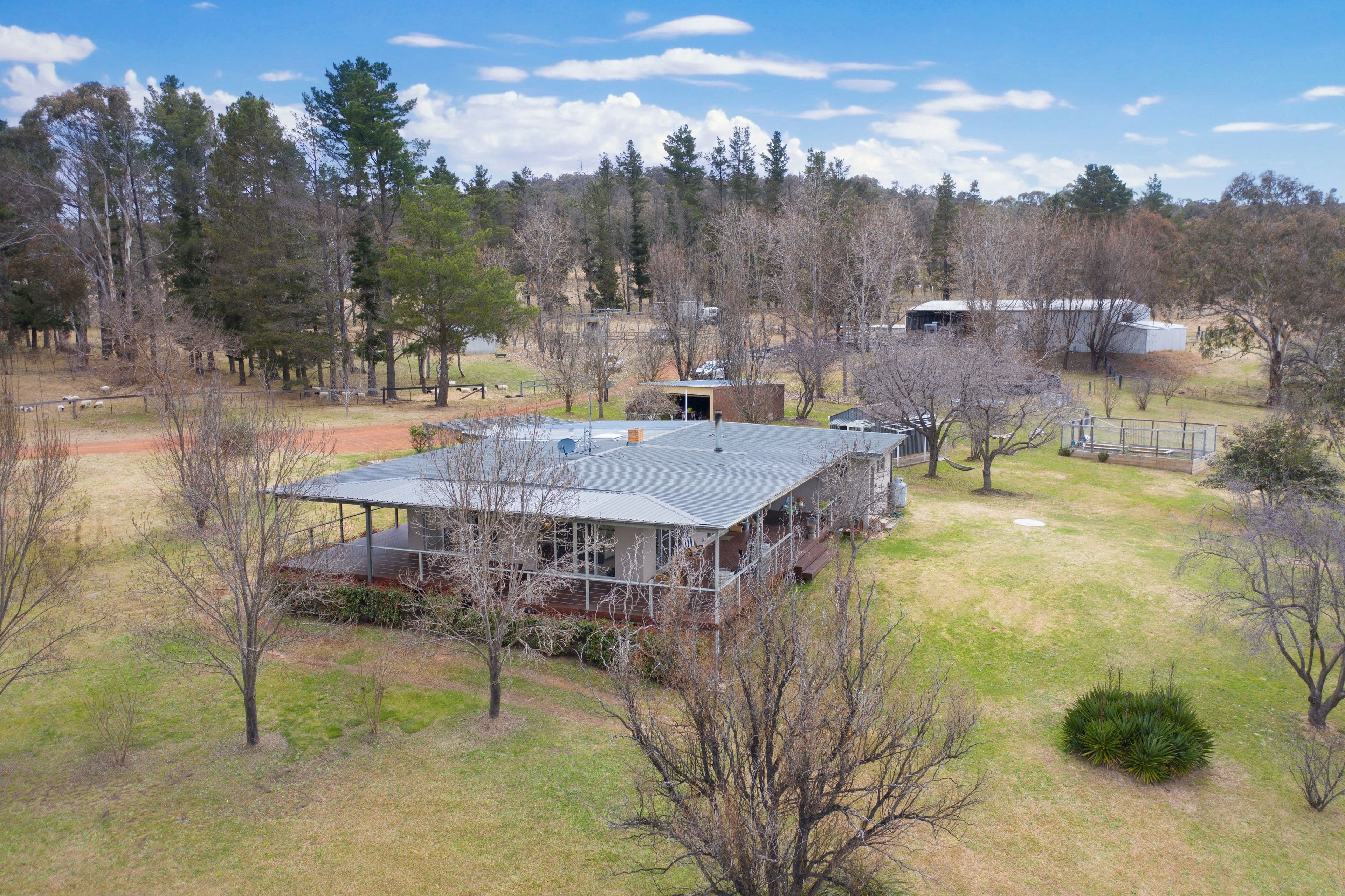 548 Castledoyle Road, Armidale NSW 2350, Armidale - Image 1