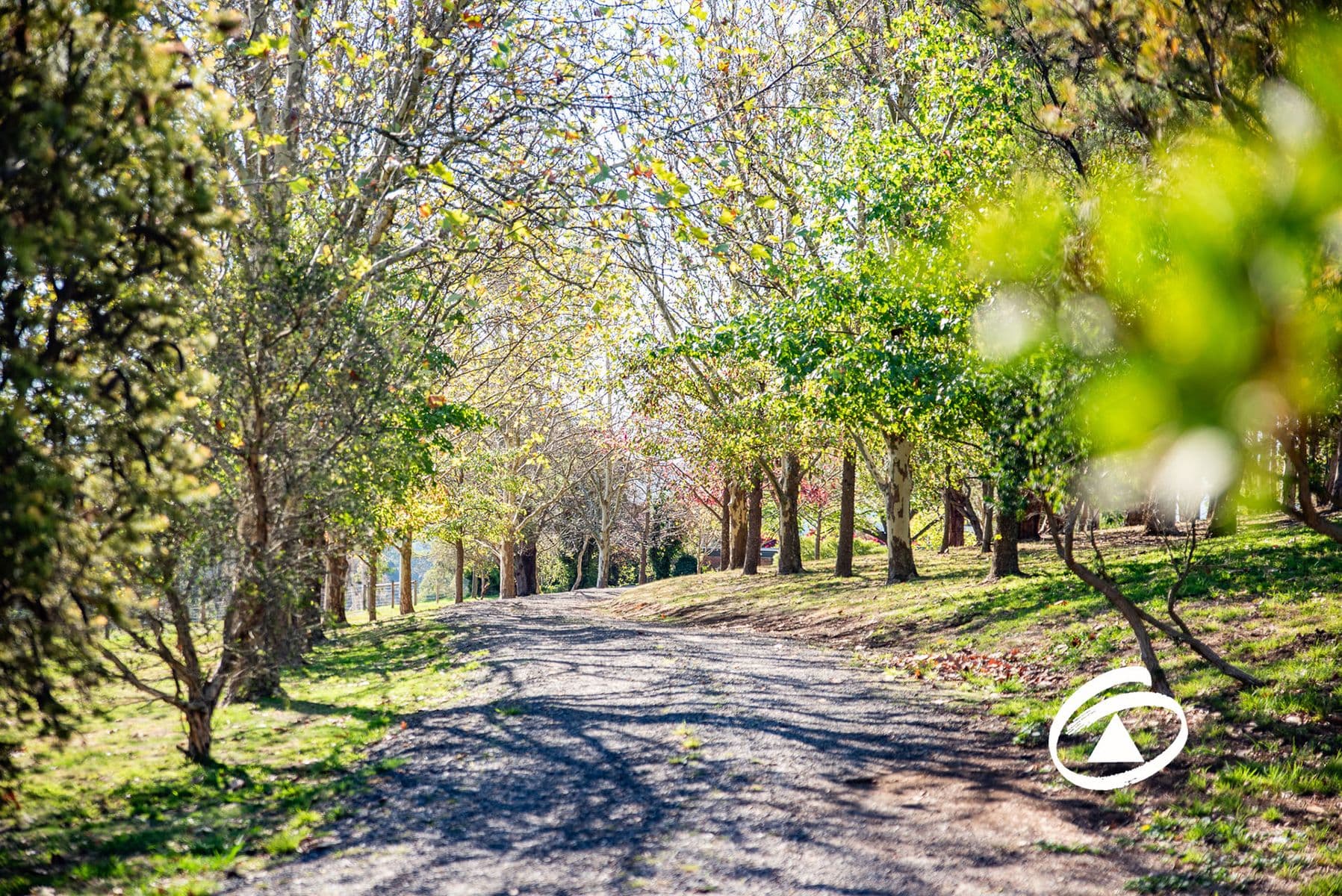 82 Beaumont Road, Berwick VIC 3806, Berwick - Image 1