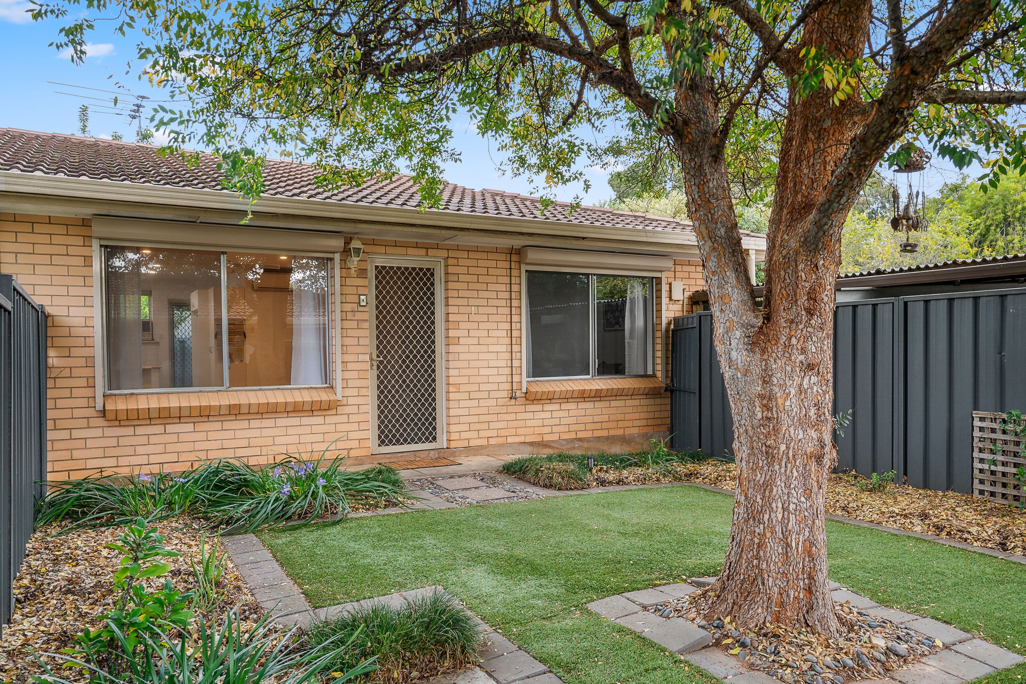 16 Pauls Drive, Valley View SA 5093, Valley View - Image 1