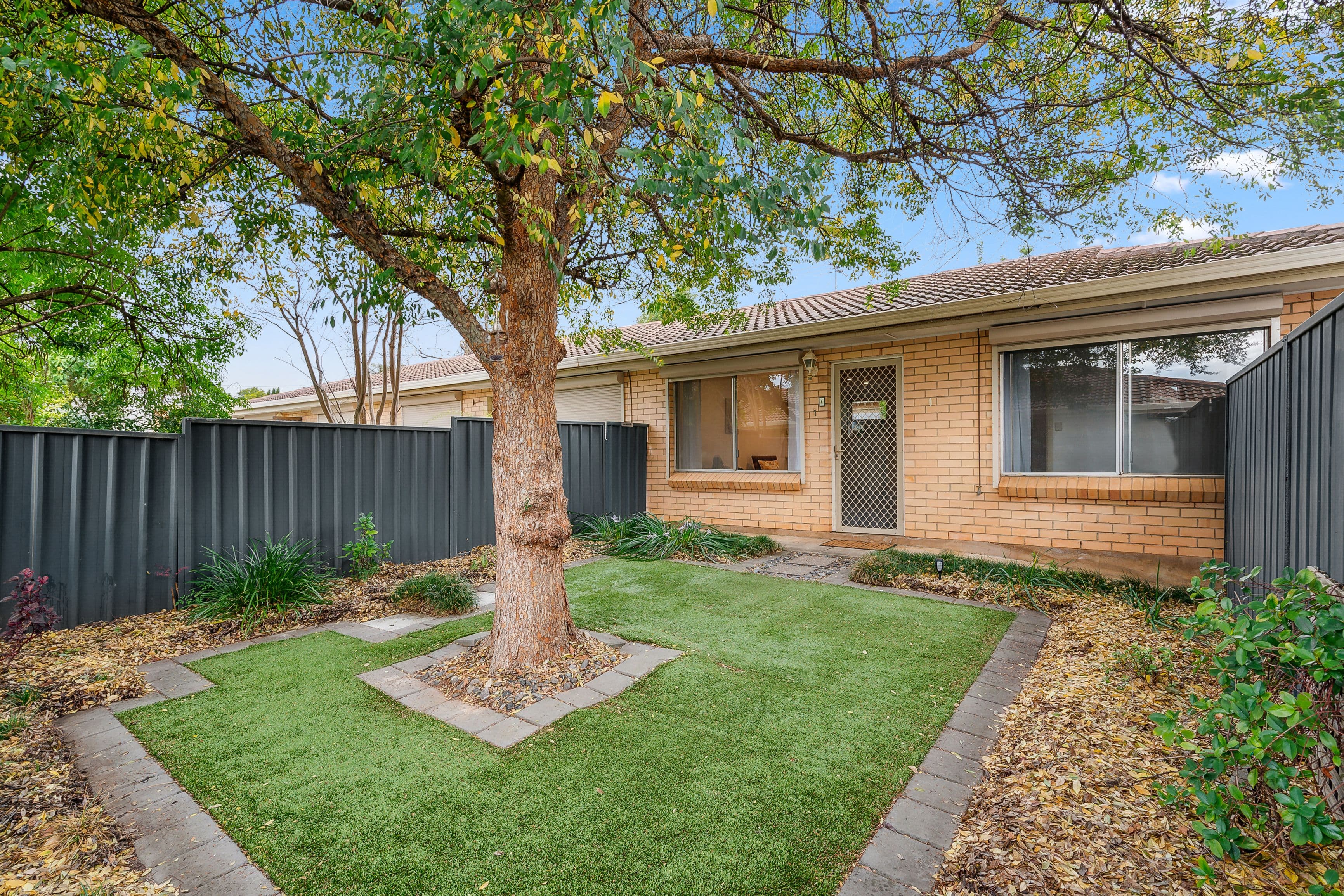 16 Pauls Drive, Valley View SA 5093, Valley View - Thumbnail 2