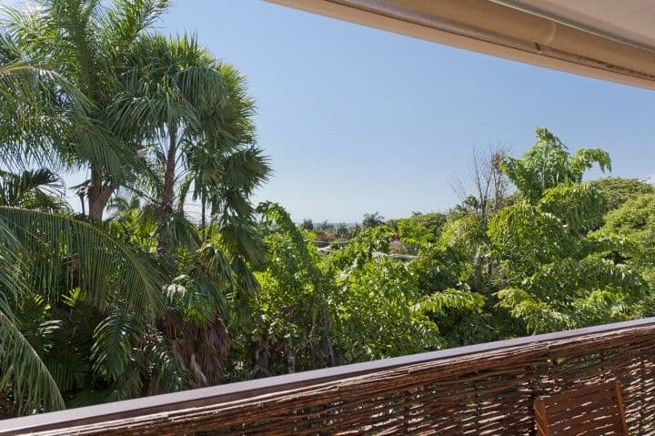 45 Charlotte Street, FANNIE BAY NT 0820, Fannie Bay - Thumbnail 7