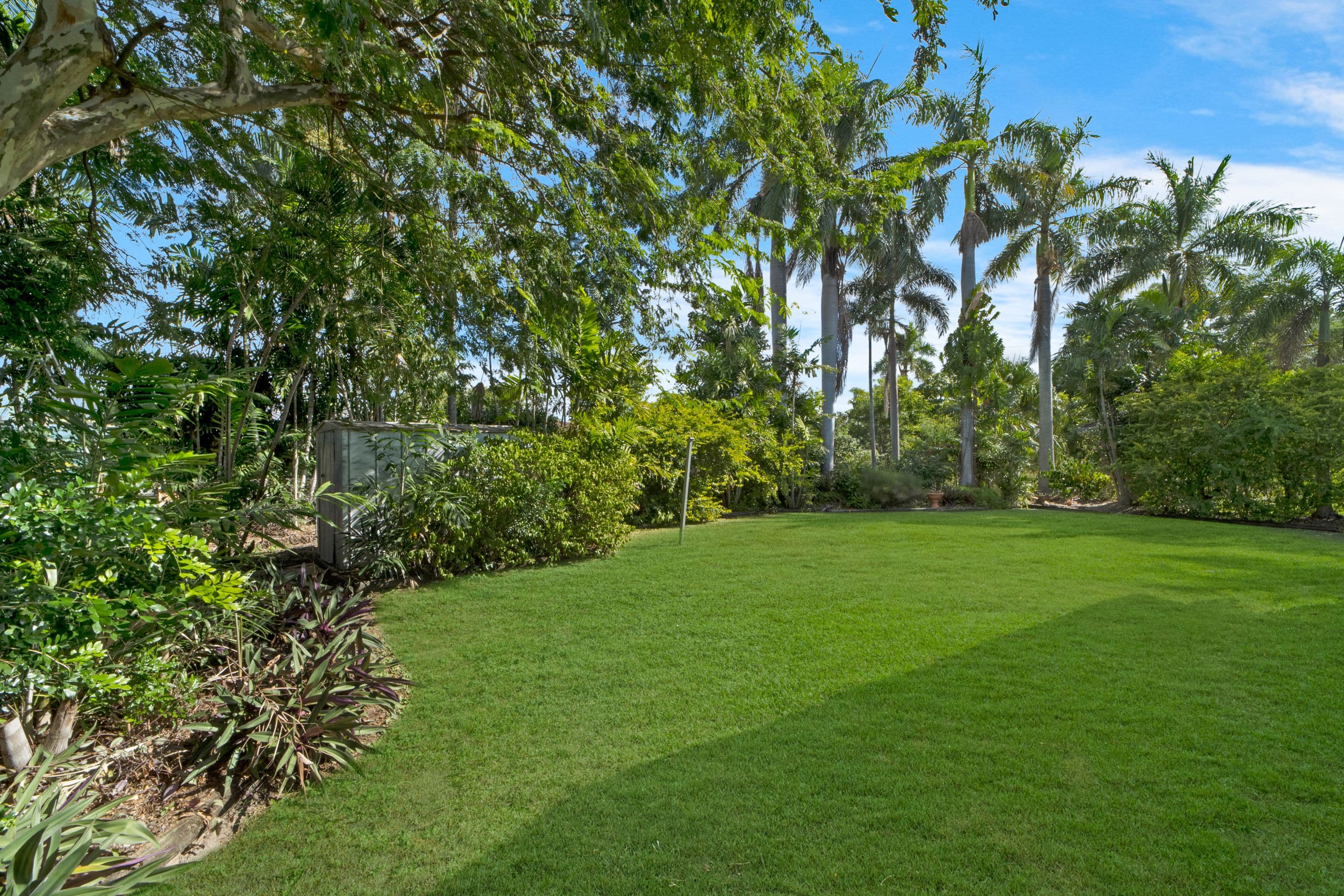 24 Whitsunday Drive, Kirwan QLD 4817, Kirwan - Thumbnail 8
