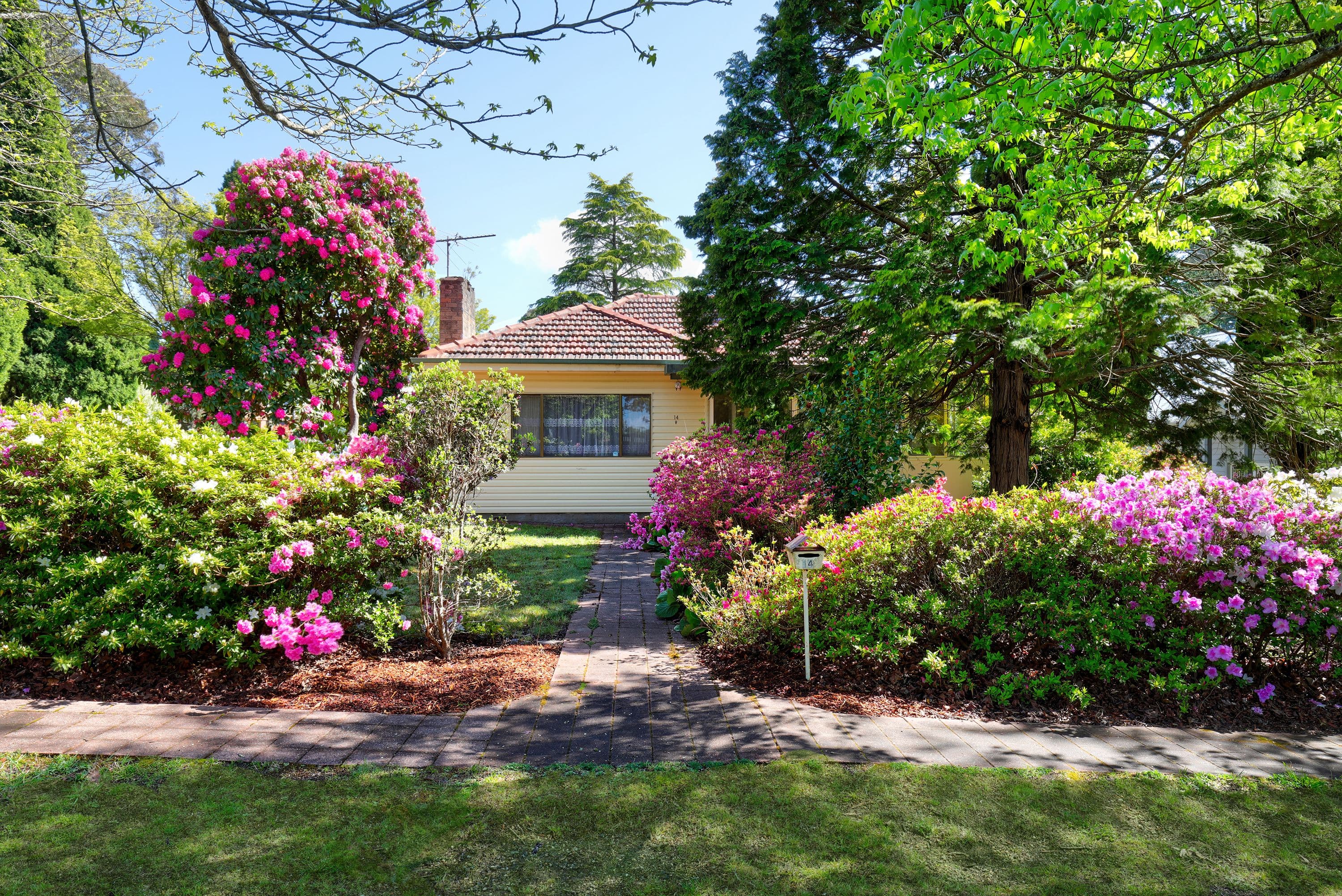14 Belvidere Avenue, Blackheath NSW 2785, Blackheath - Thumbnail 2