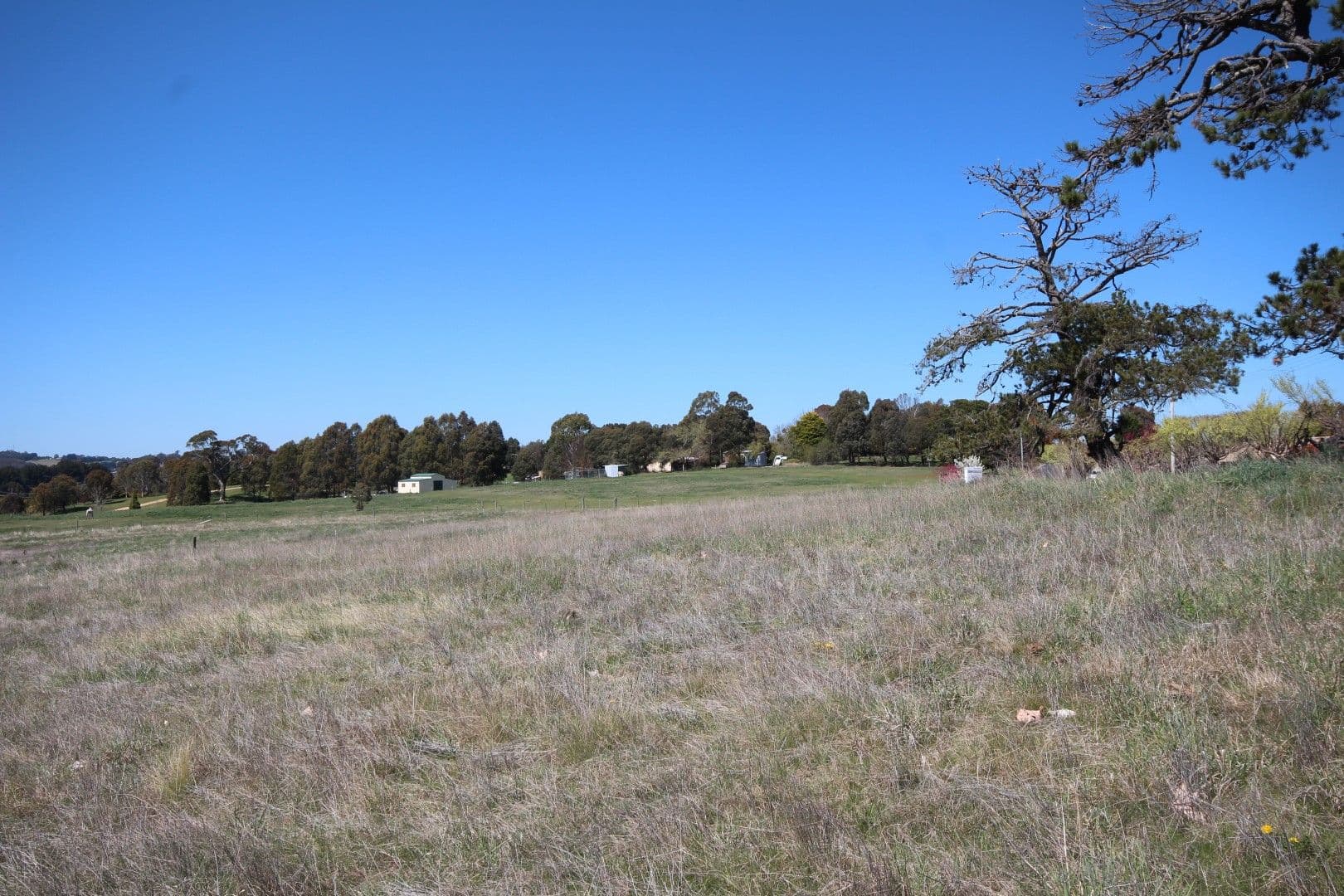 4 Blenheim Avenue, Oberon NSW 2787, Oberon - Thumbnail 5