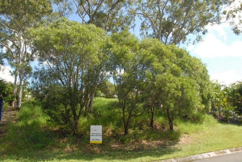 5 Dixon Place, CANNONVALE QLD 4802, Cannonvale - Thumbnail 4