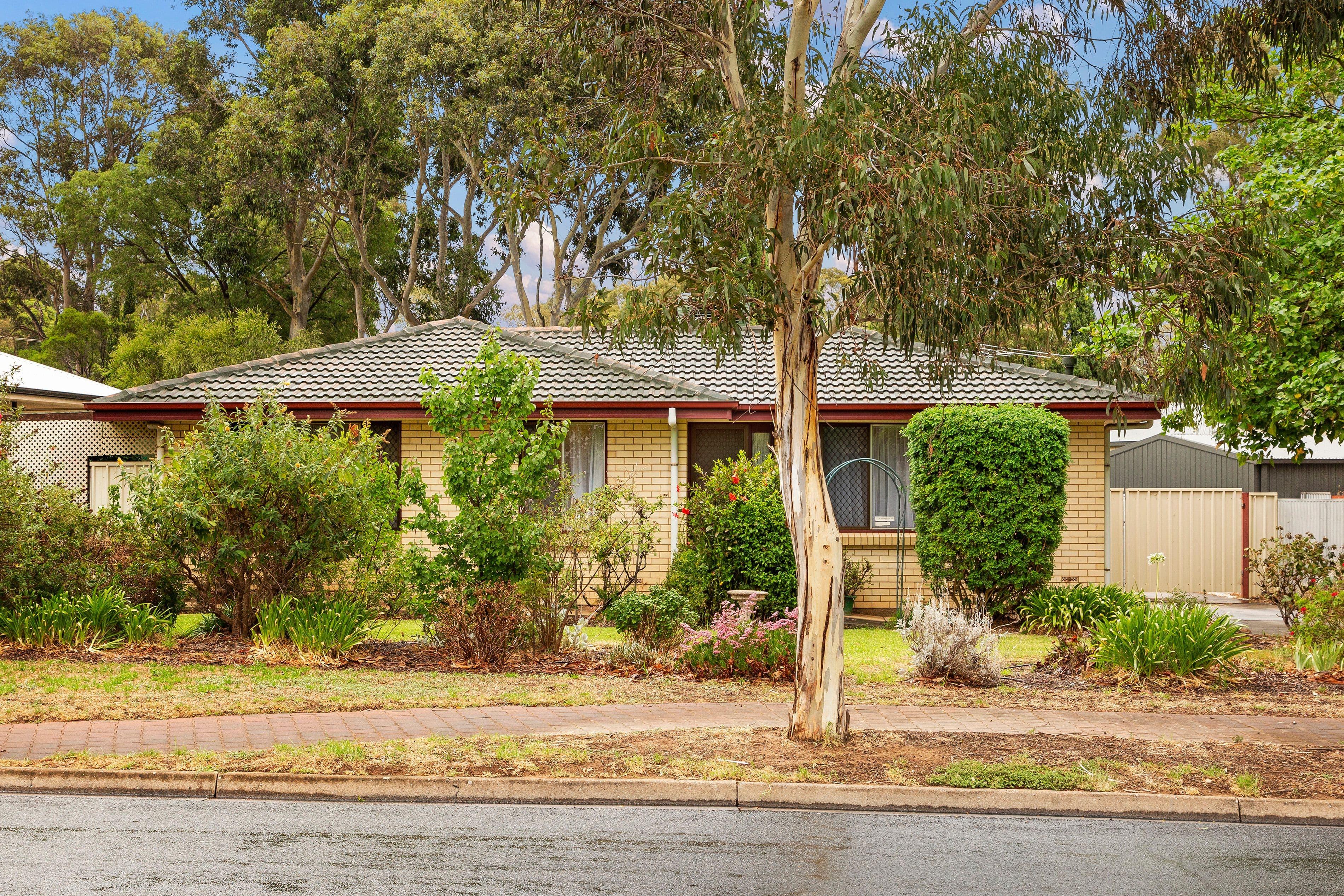 8 Schulze Road, Athelstone SA 5076, Athelstone - Image 1