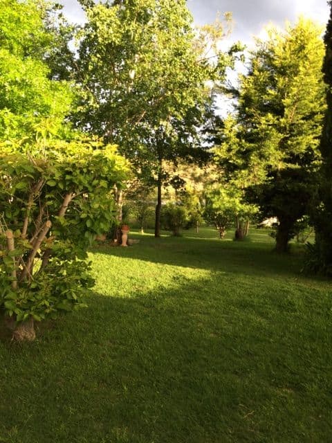 329 Grafton Street, Glen Innes - Thumbnail 6