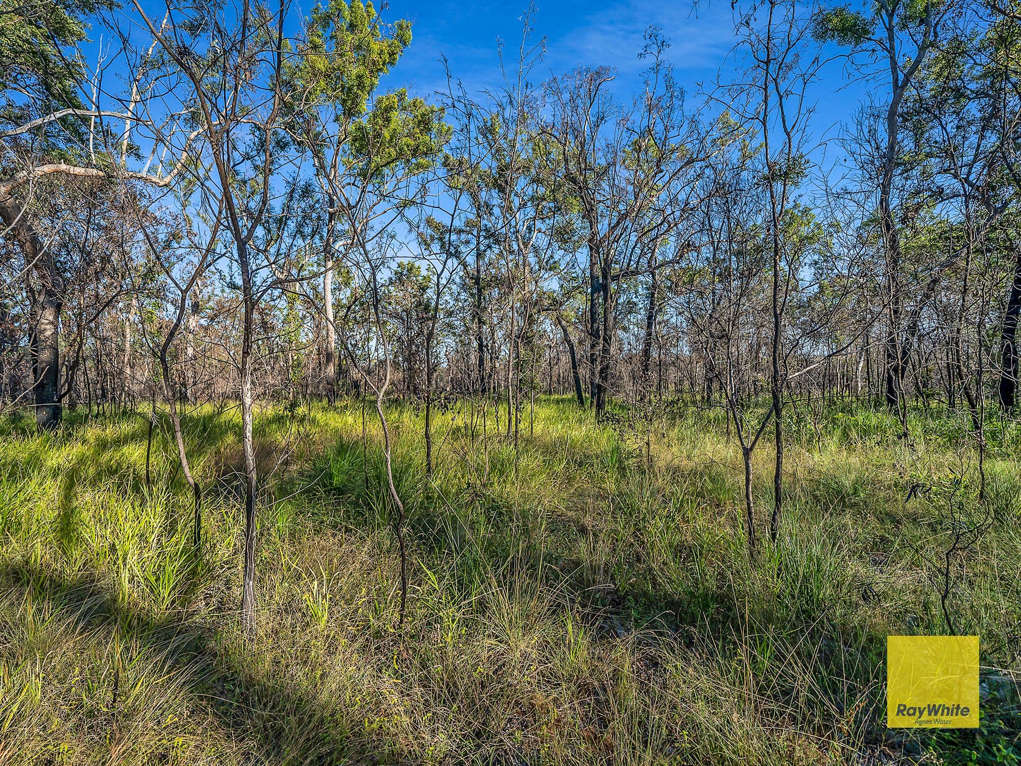 Mount Maria QLD 4674, Mount Maria - Thumbnail 4