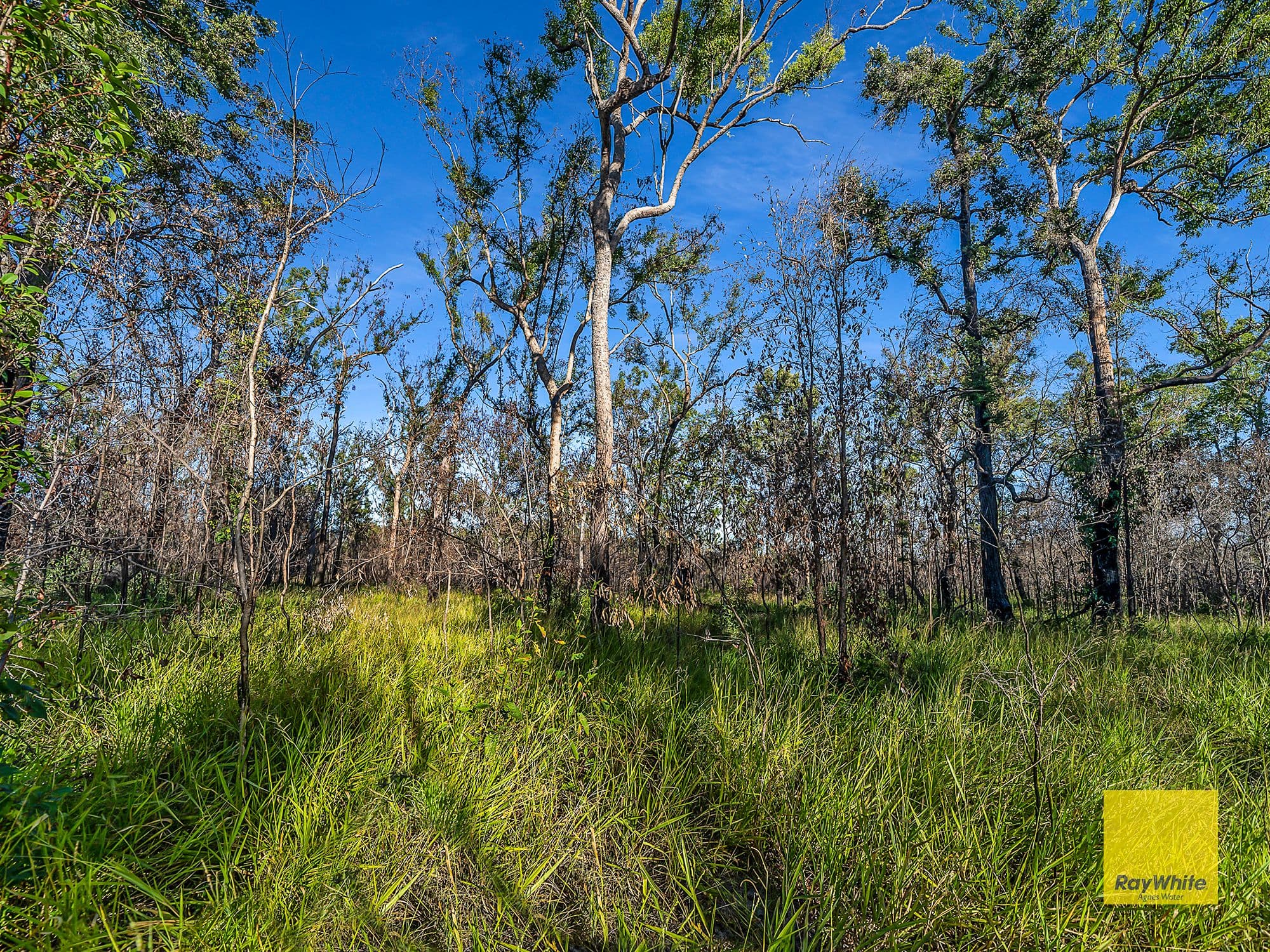 Mount Maria QLD 4674, Mount Maria - Thumbnail 5
