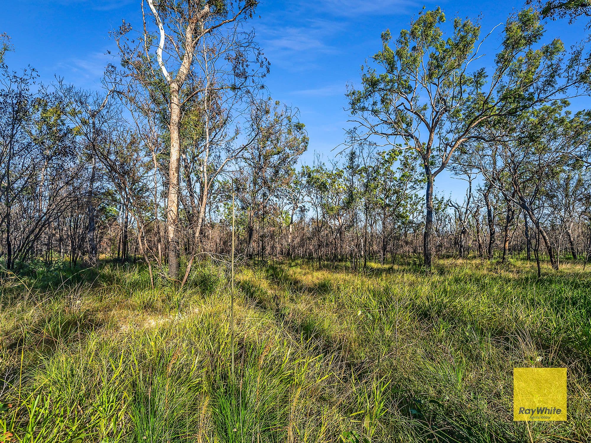 Mount Maria QLD 4674, Mount Maria - Thumbnail 6