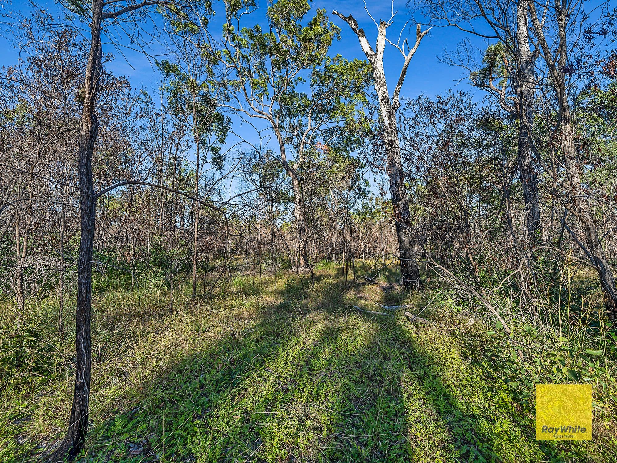 Mount Maria QLD 4674, Mount Maria - Thumbnail 8