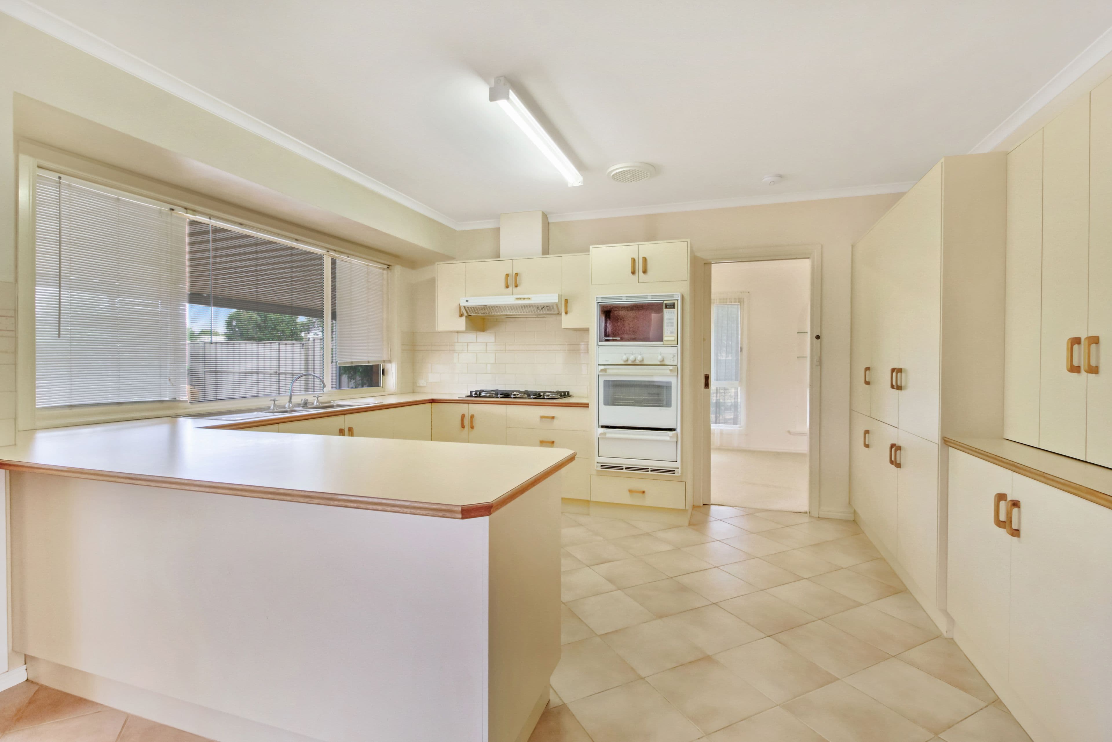 56 Meander Avenue, Renmark SA 5341, Renmark - Thumbnail 6