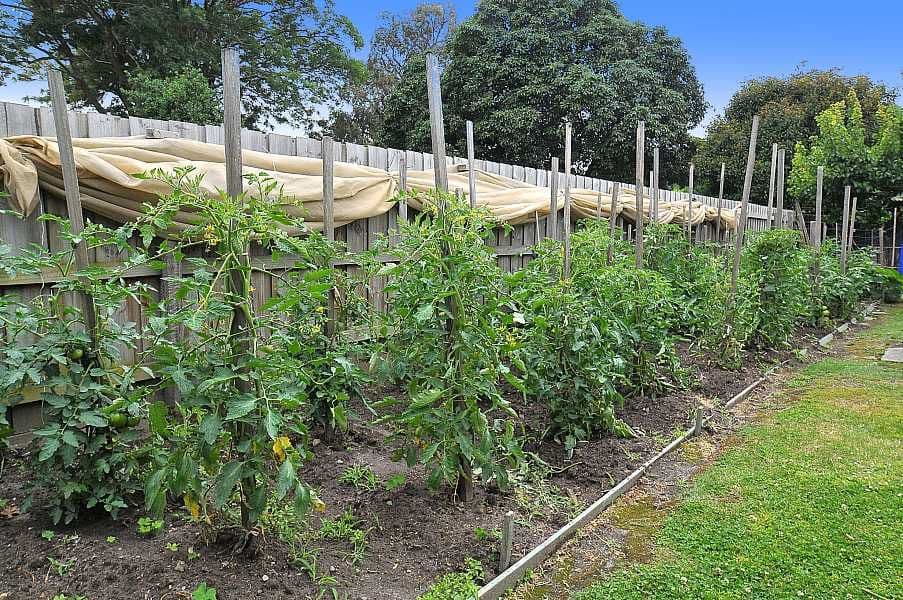 270 Middleborough Road, BLACKBURN SOUTH VIC 3130, Blackburn South - Thumbnail 8
