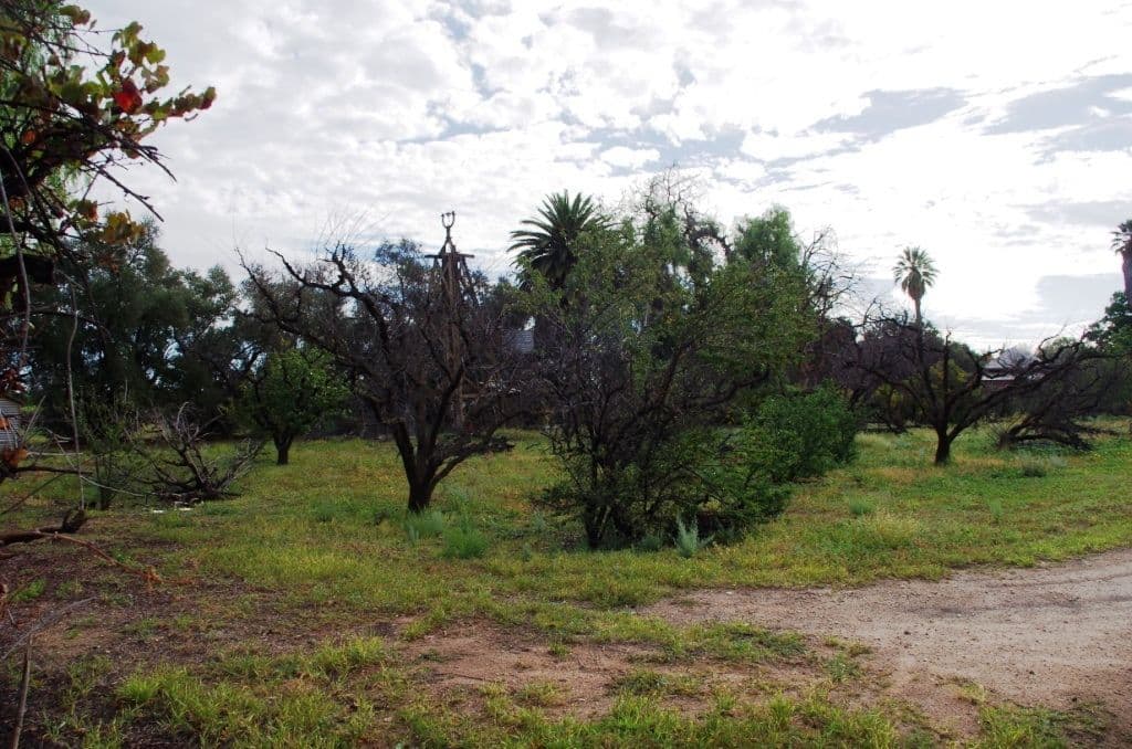 Secs 323 and 324 Twentysixth Street, RENMARK SA 5341, Renmark - Thumbnail 7